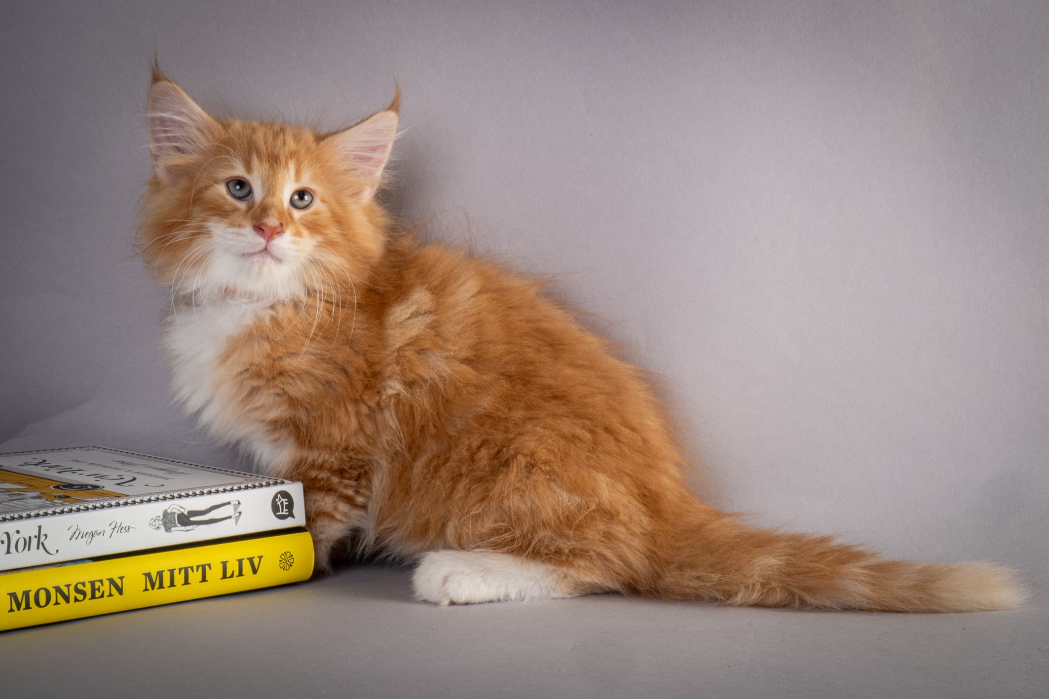 (N)Migoto's Nemo, d 09 22