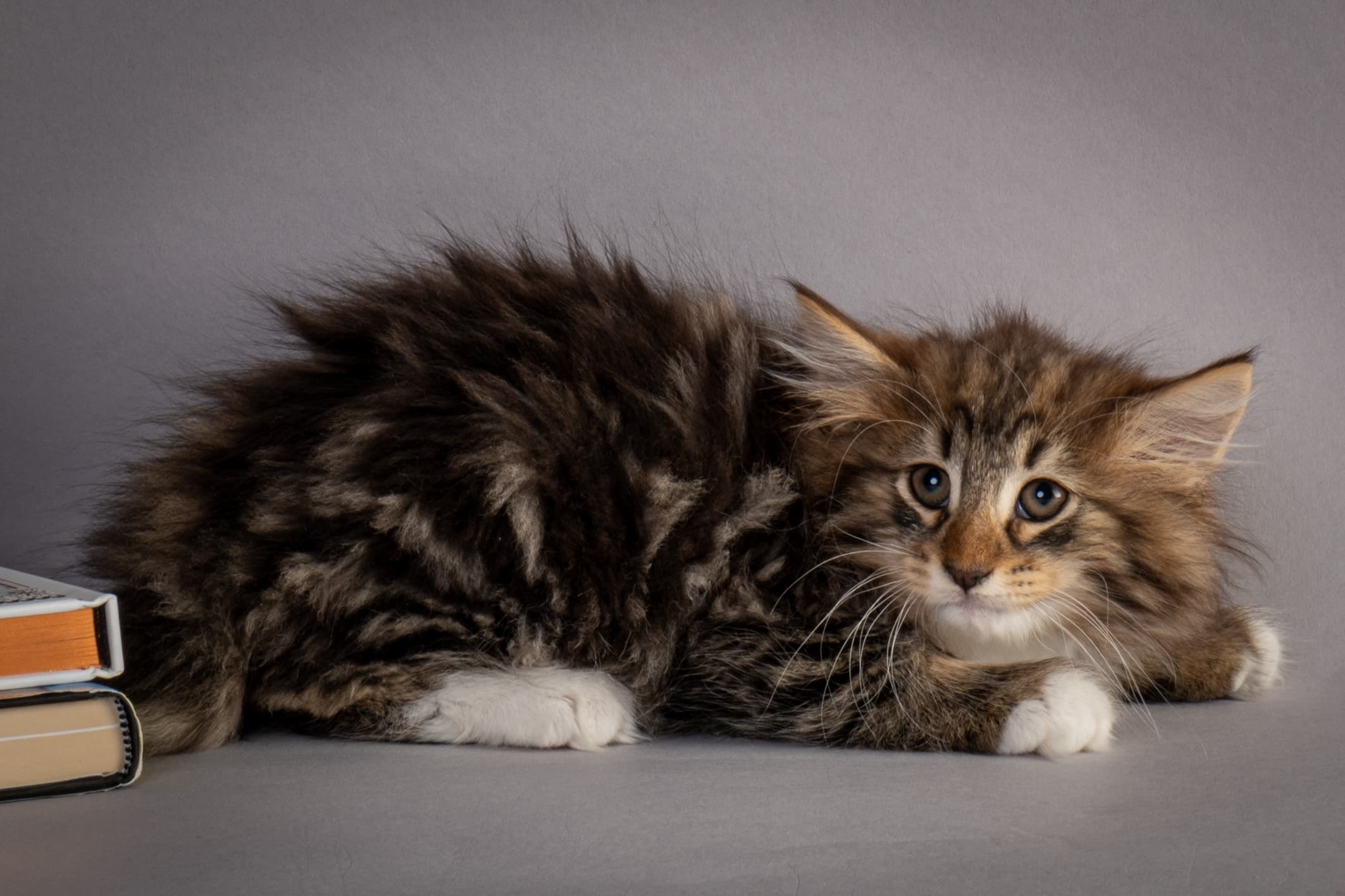 (N)Migoto's Njård, NFO n 09 22