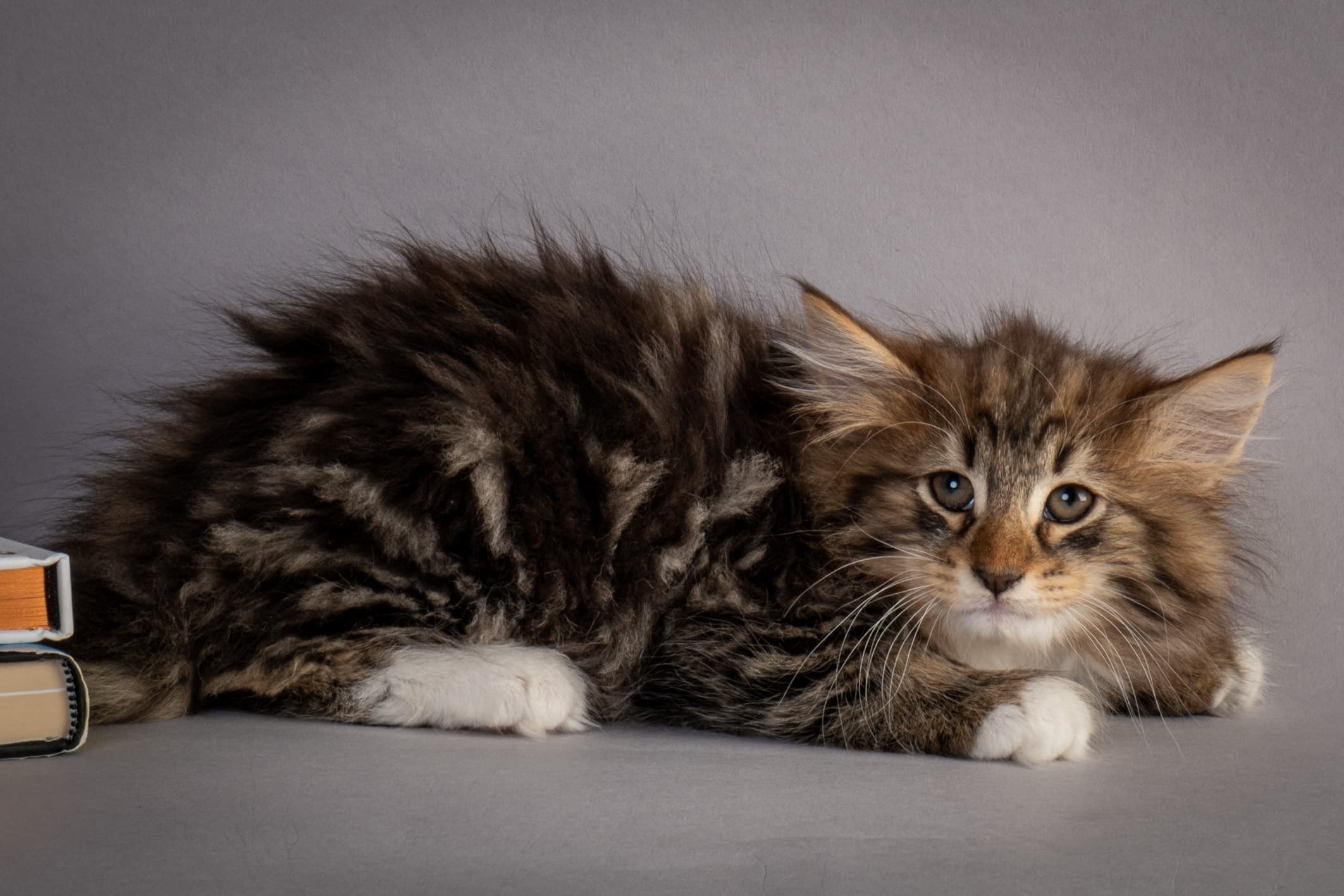 (N)Migoto's Njård, NFO n 09 22