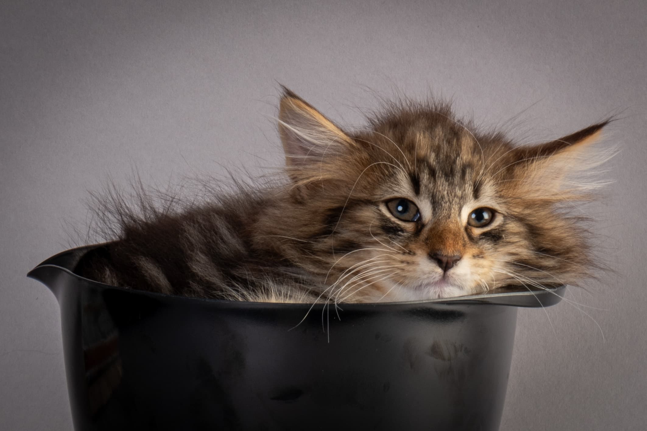 (N)Migoto's Njård, NFO n 09 22