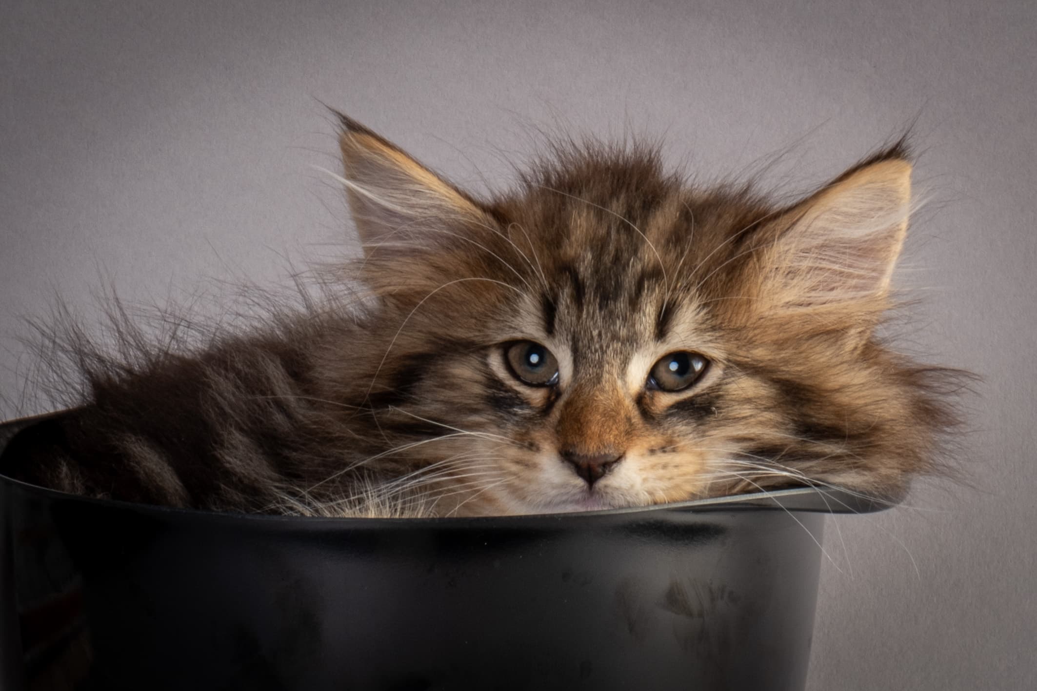 (N)Migoto's Njård, NFO n 09 22