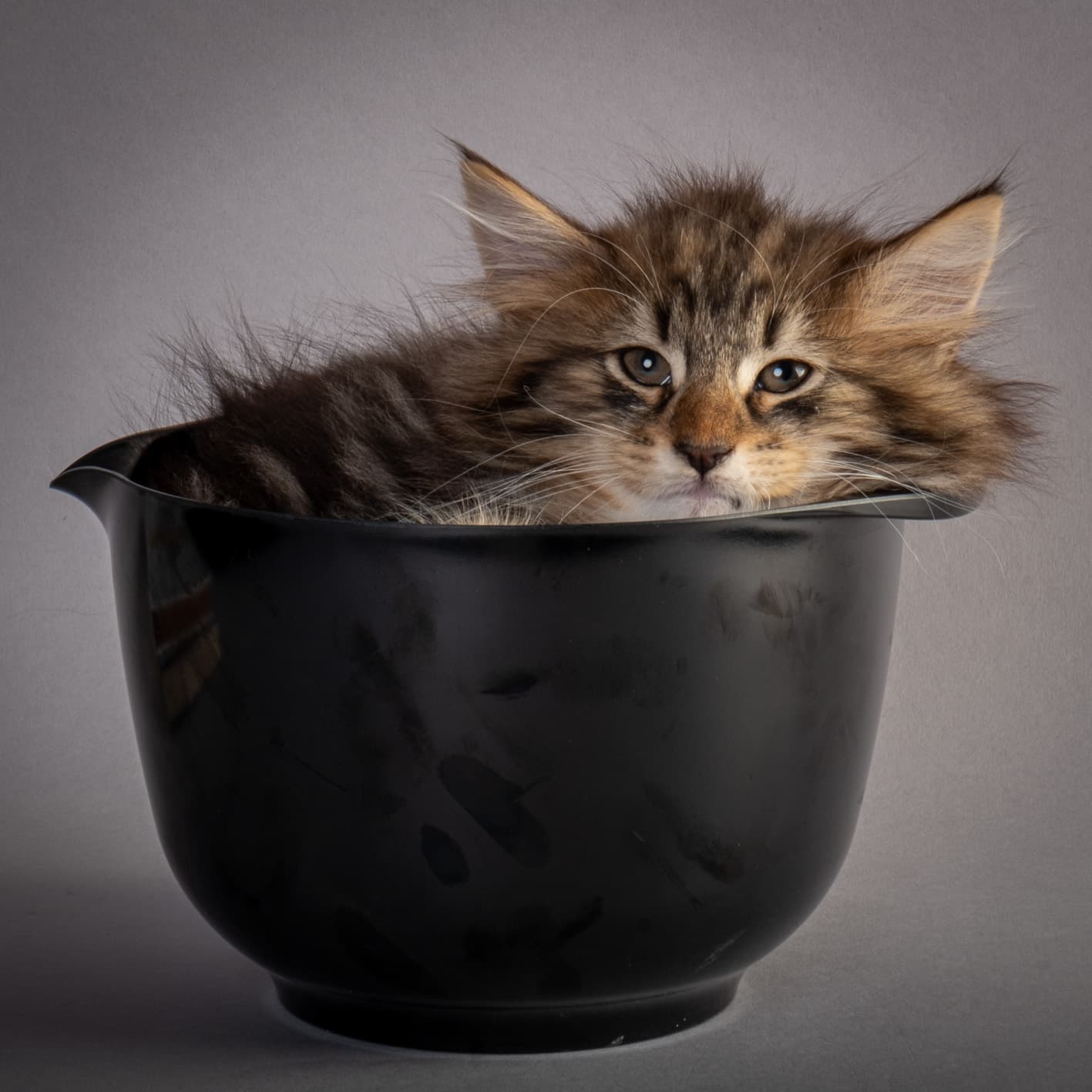 (N)Migoto's Njård, NFO n 09 22