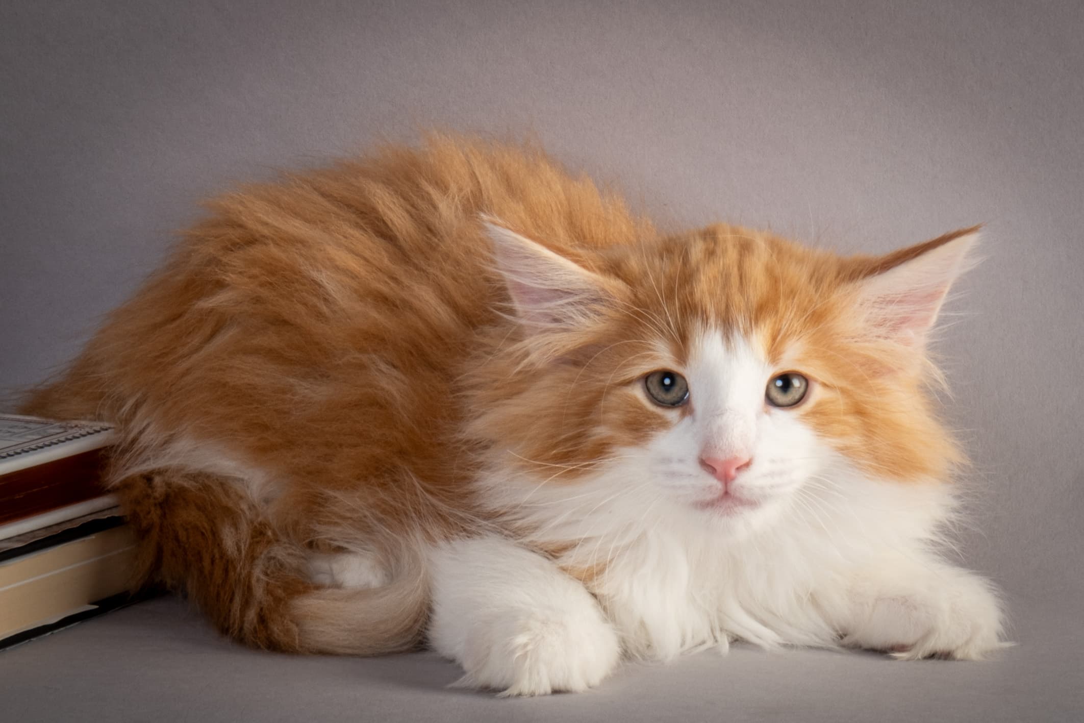 (N)Migoto's Nate, NFO d 03 22