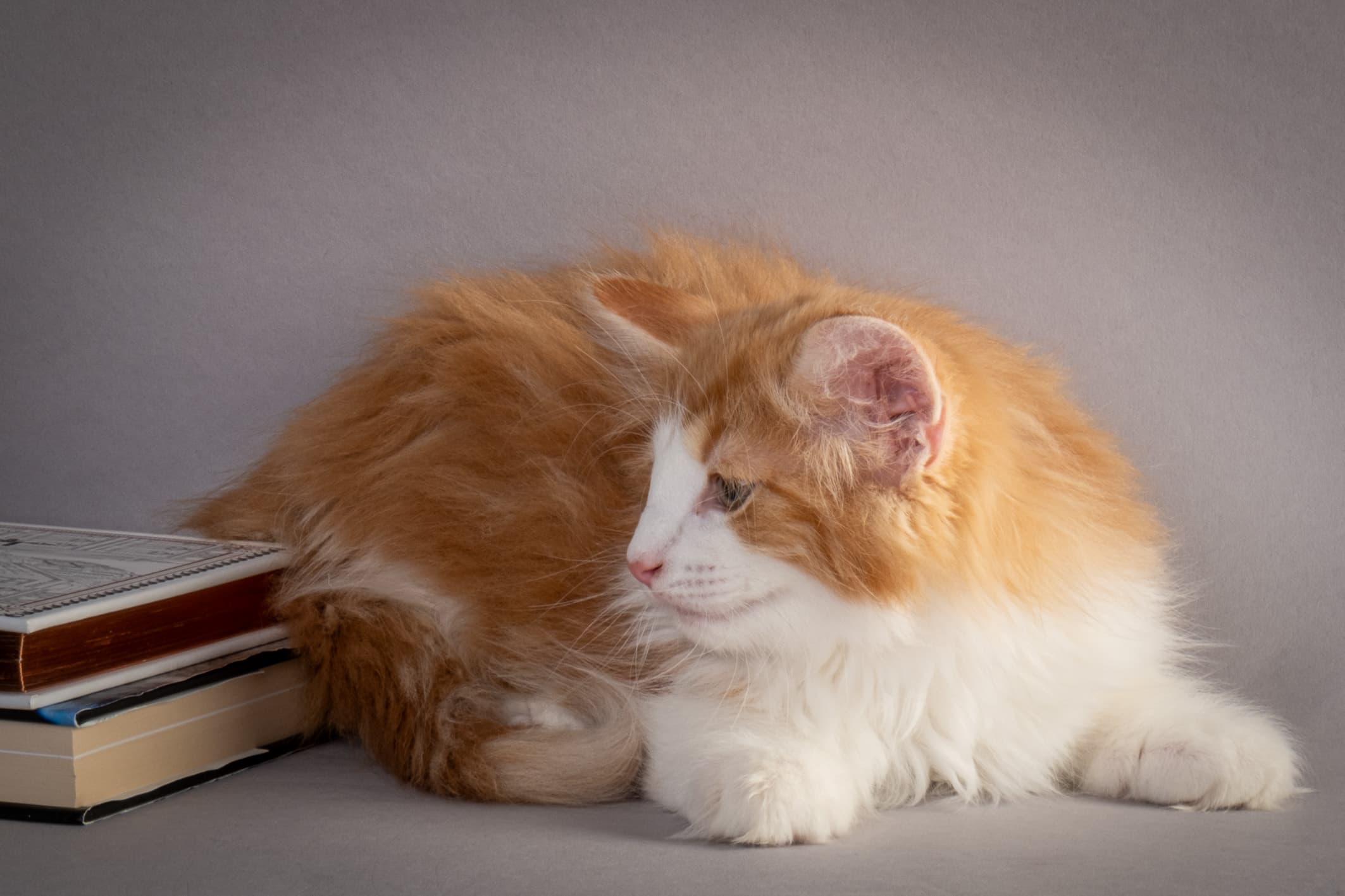 (N)Migoto's Nate, NFO d 03 22