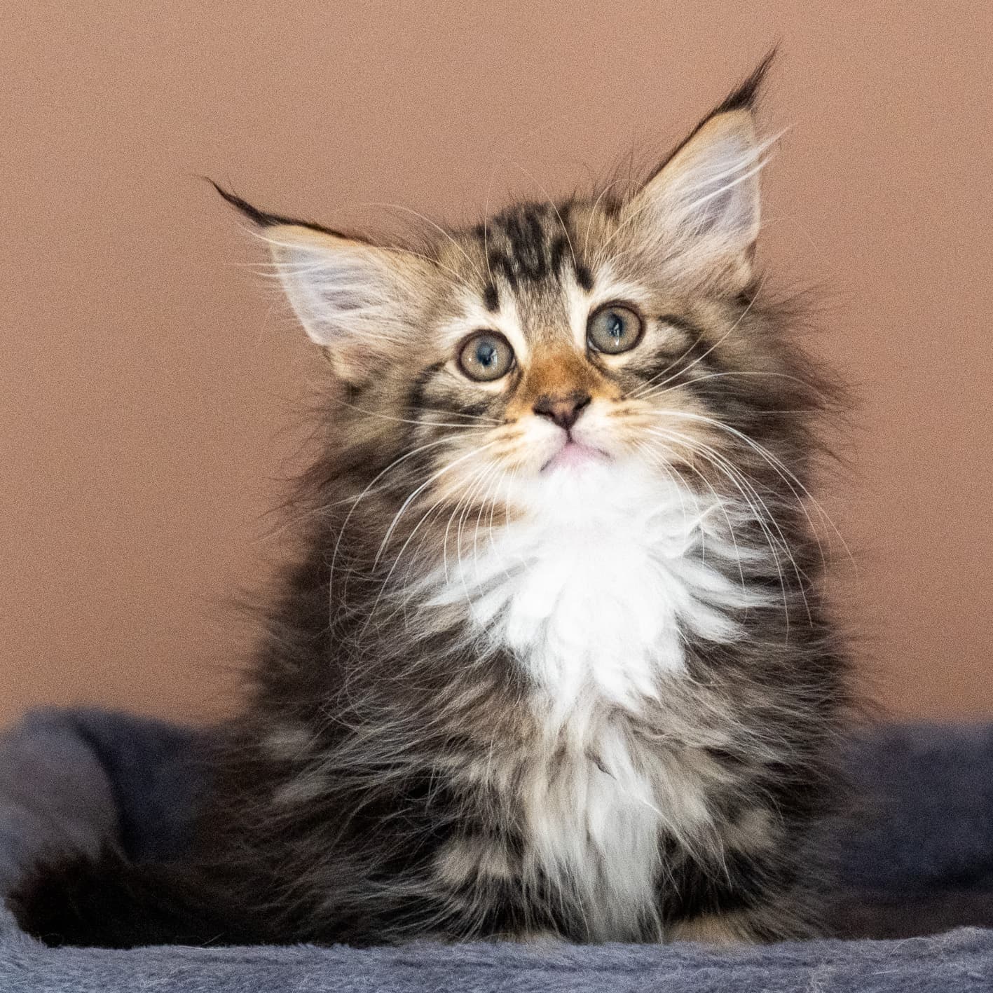 (N)Migoto's Nina, NFO n 09 22