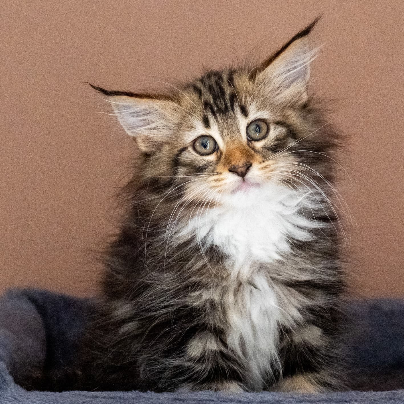 (N)Migoto's Nina, NFO n 09 22