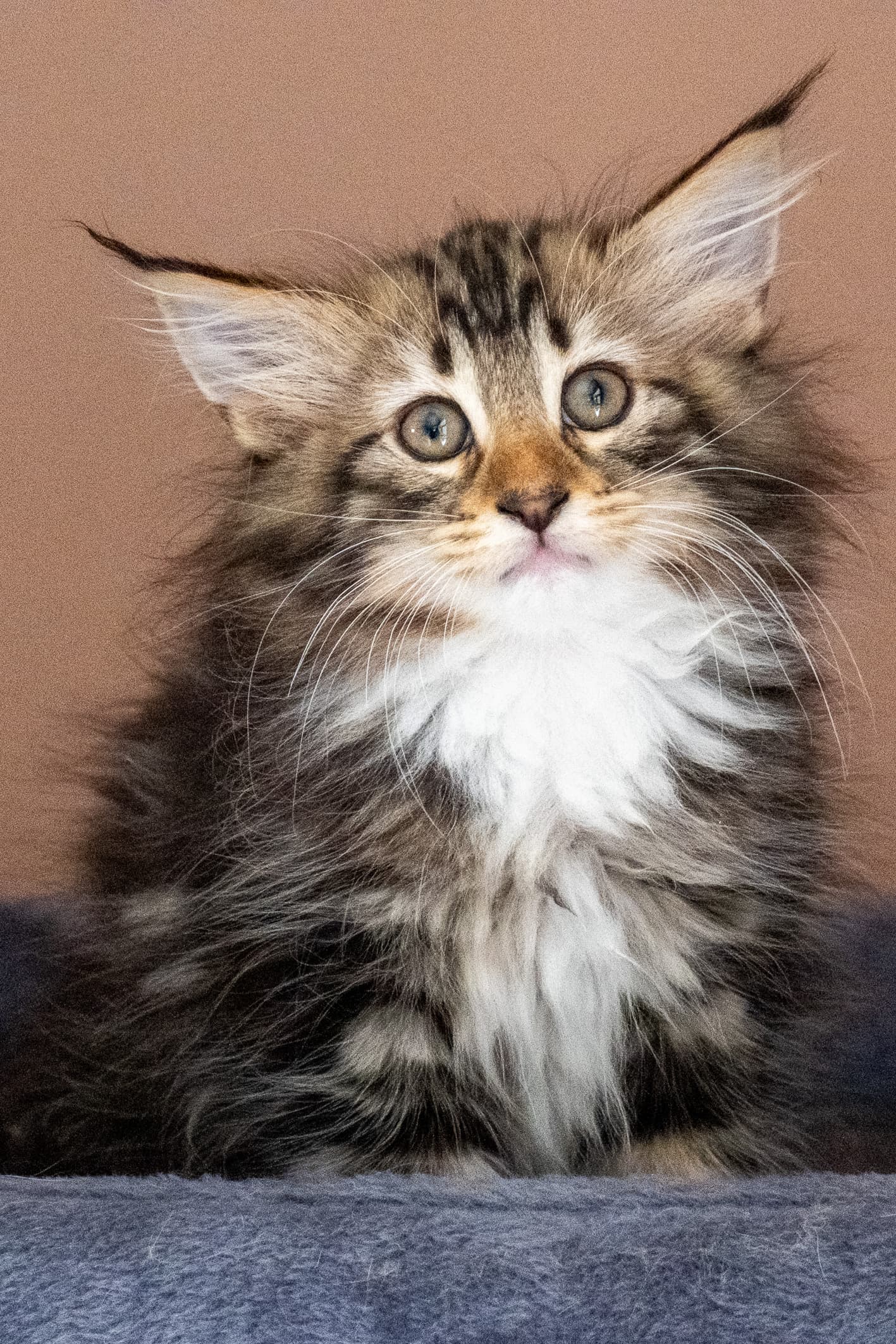 (N)Migoto's Nina, NFO n 09 22