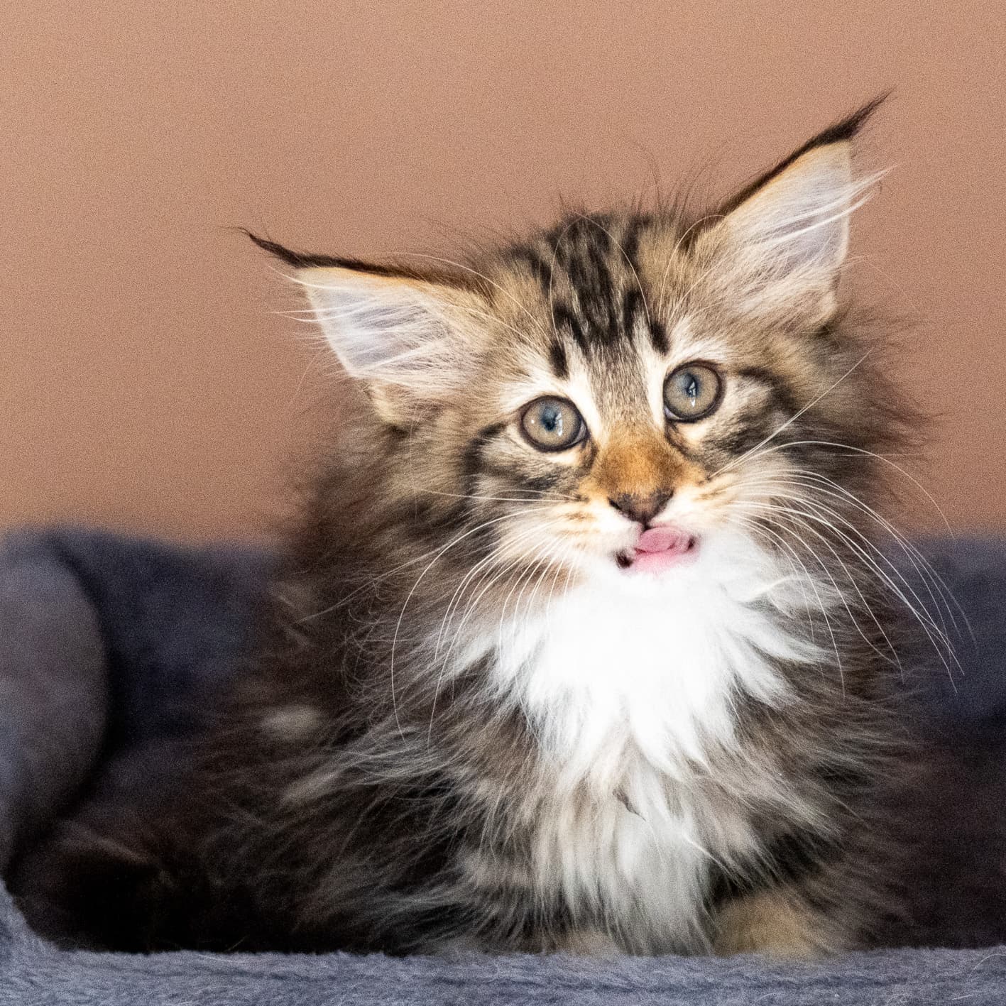 (N)Migoto's Nina, NFO n 09 22