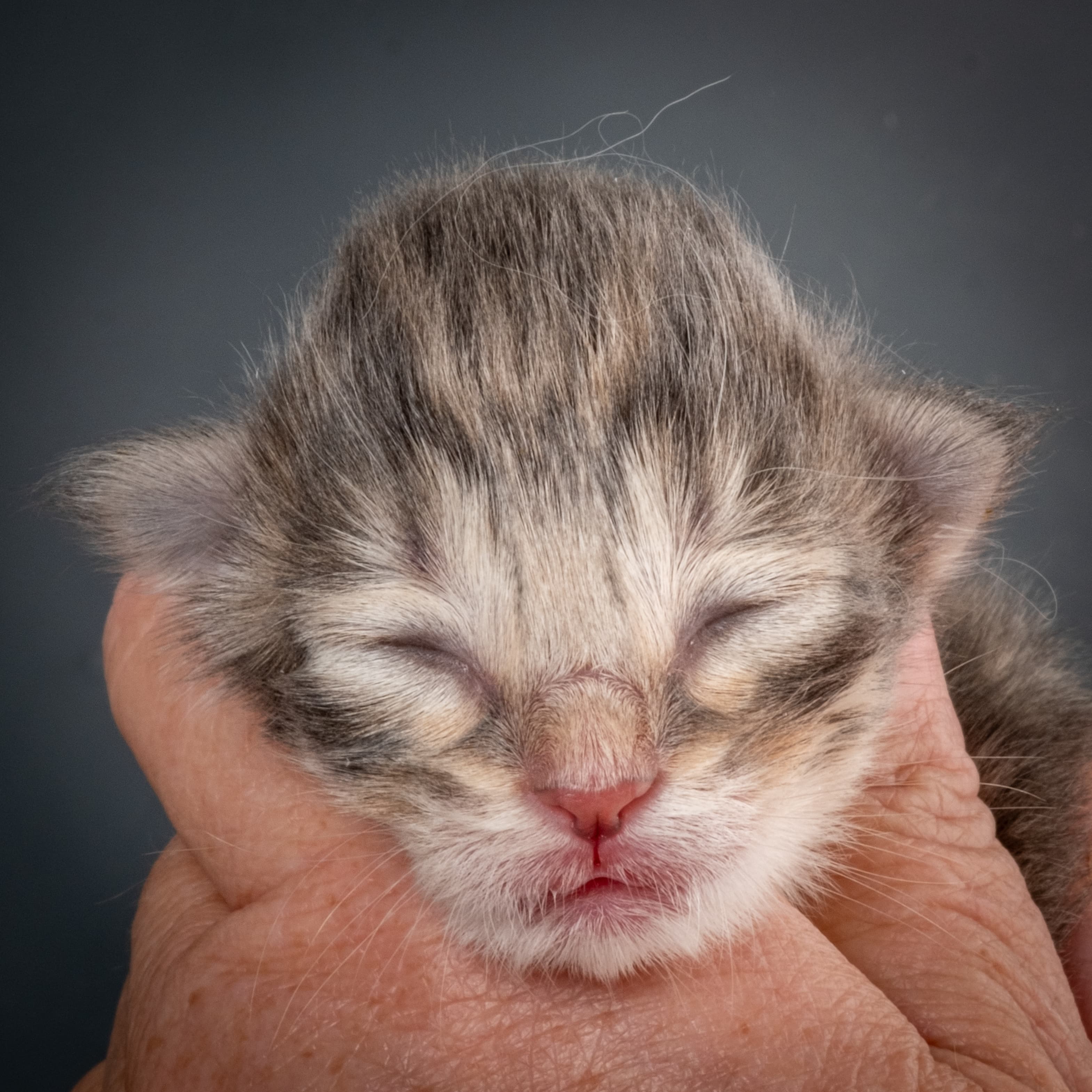 (N)Migoto's Sky, NFO a 09 24