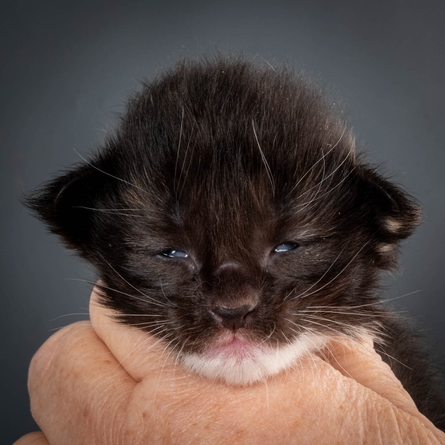 (N)Migoto's Snipp, NFO f 09