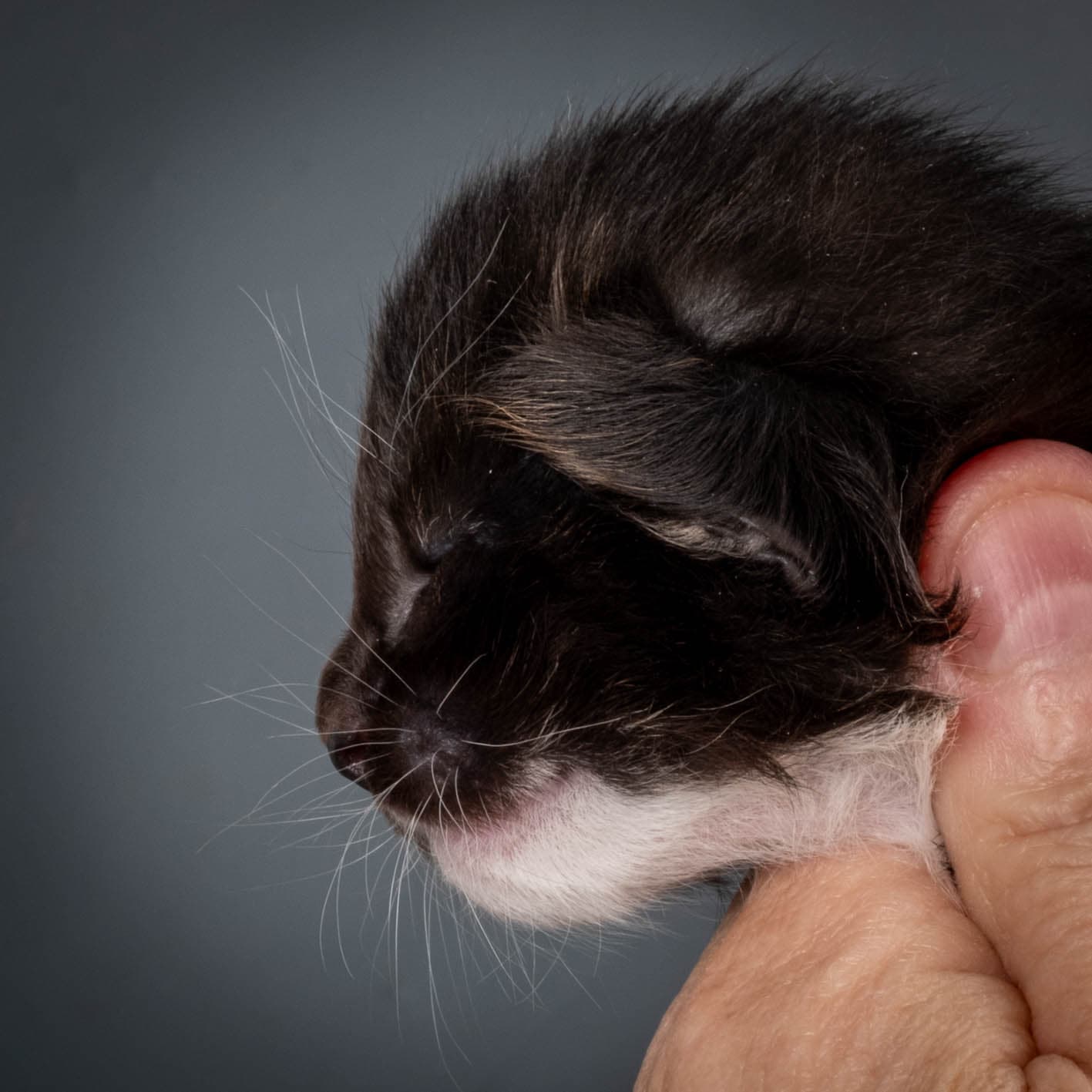 (N)Migoto's Snipp, NFO f 09