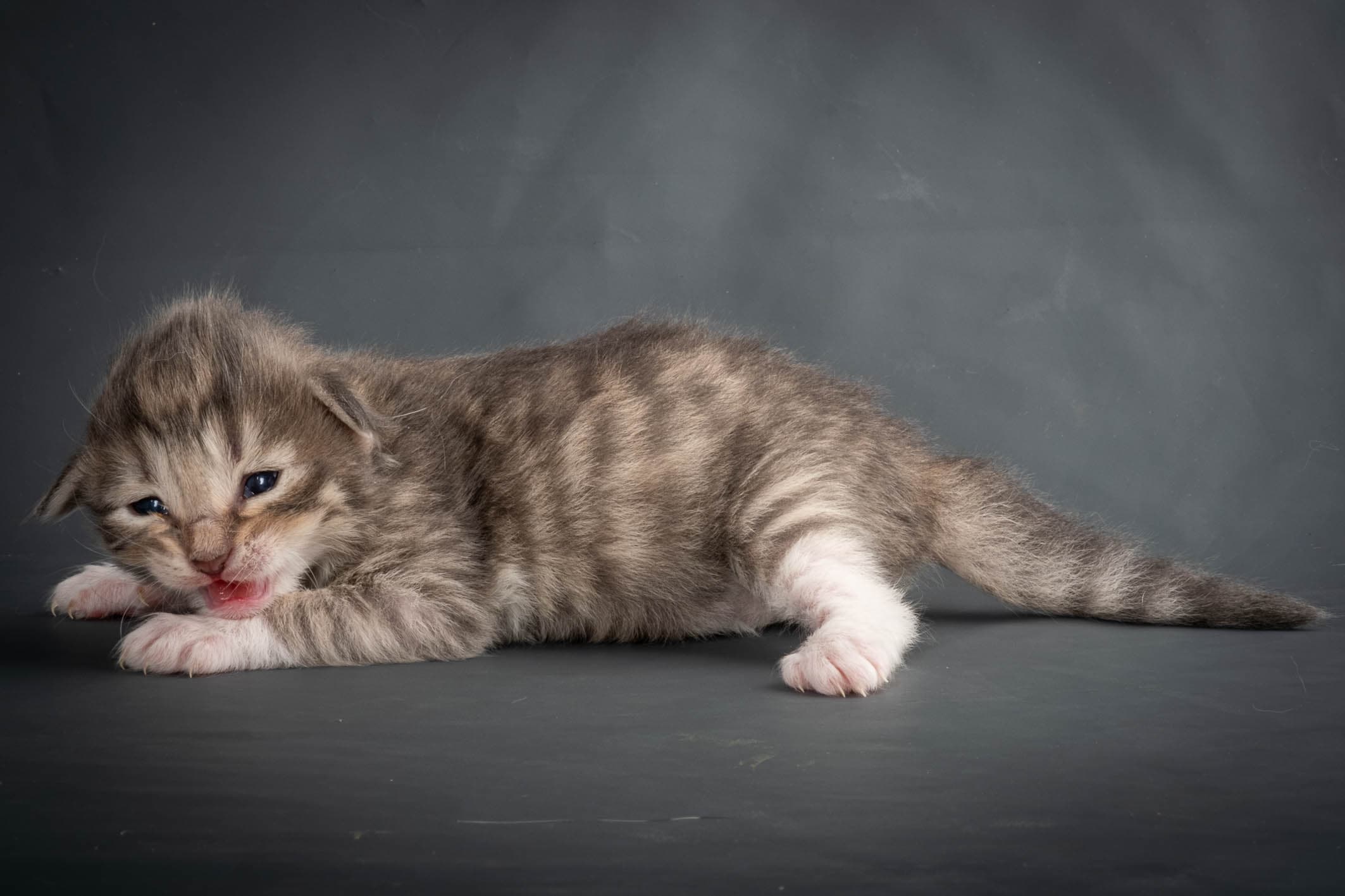 (N)Migoto's Sky, NFO a 09 24