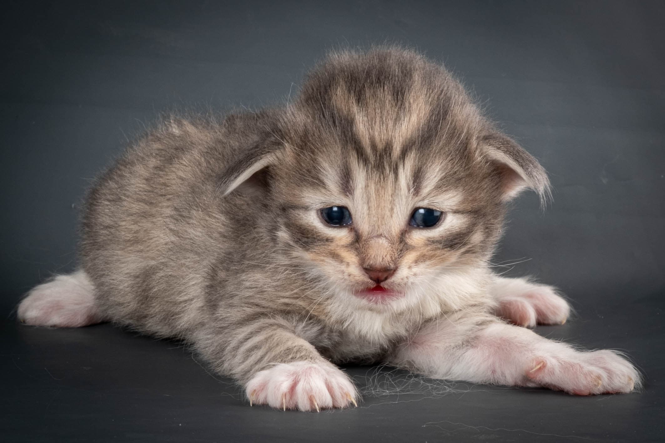 (N)Migoto's Sky, NFO a 09 24