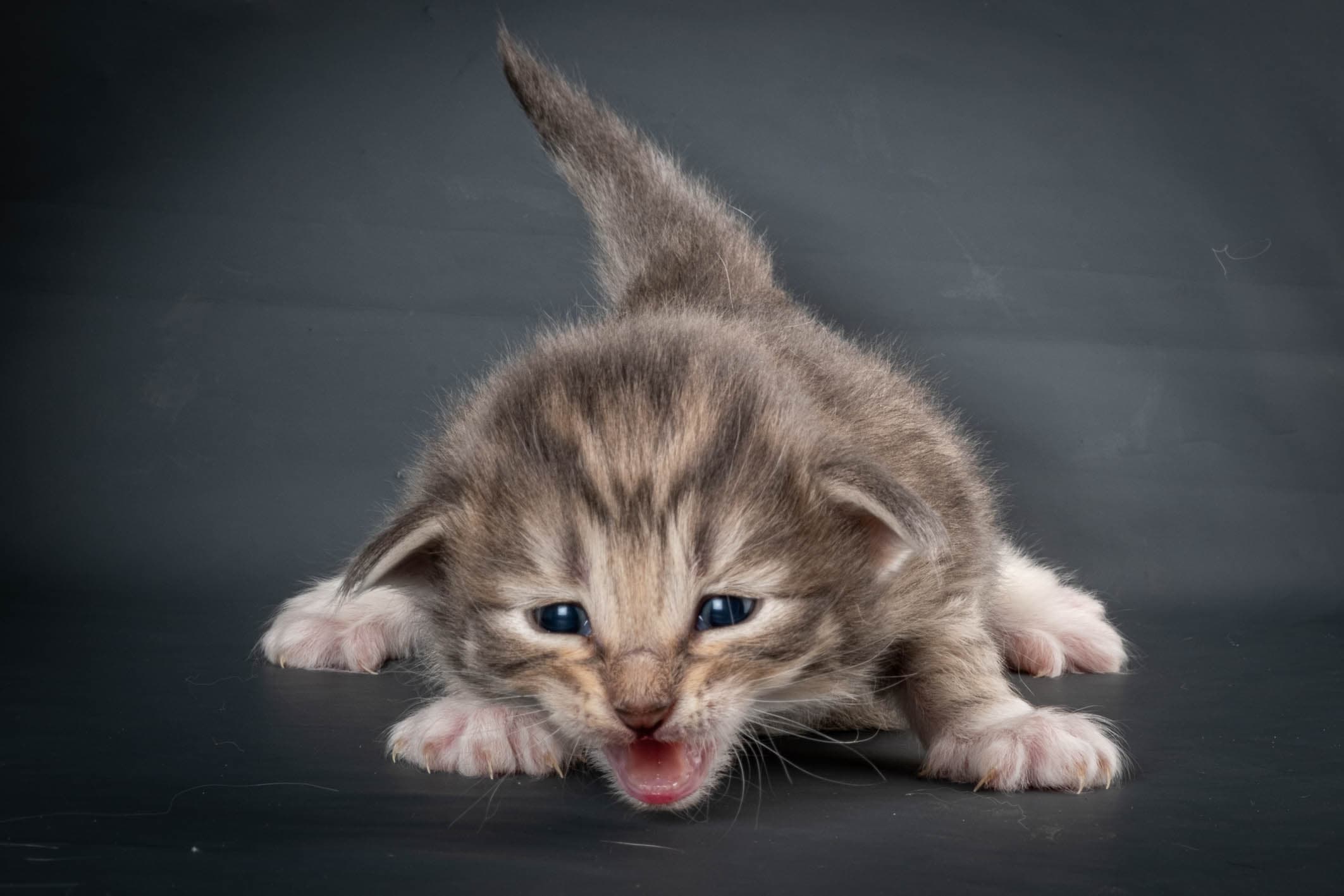 (N)Migoto's Sky, NFO a 09 24