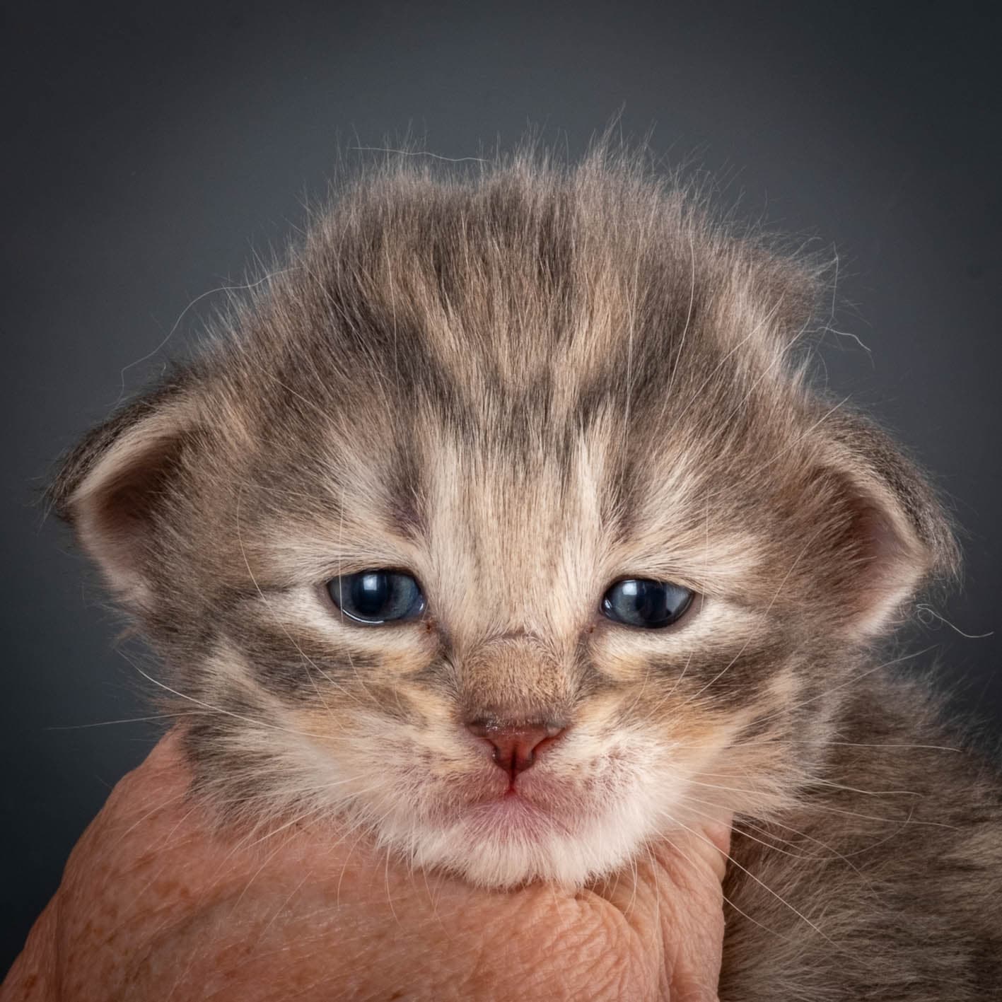 (N)Migoto's Sky, NFO a 09 24