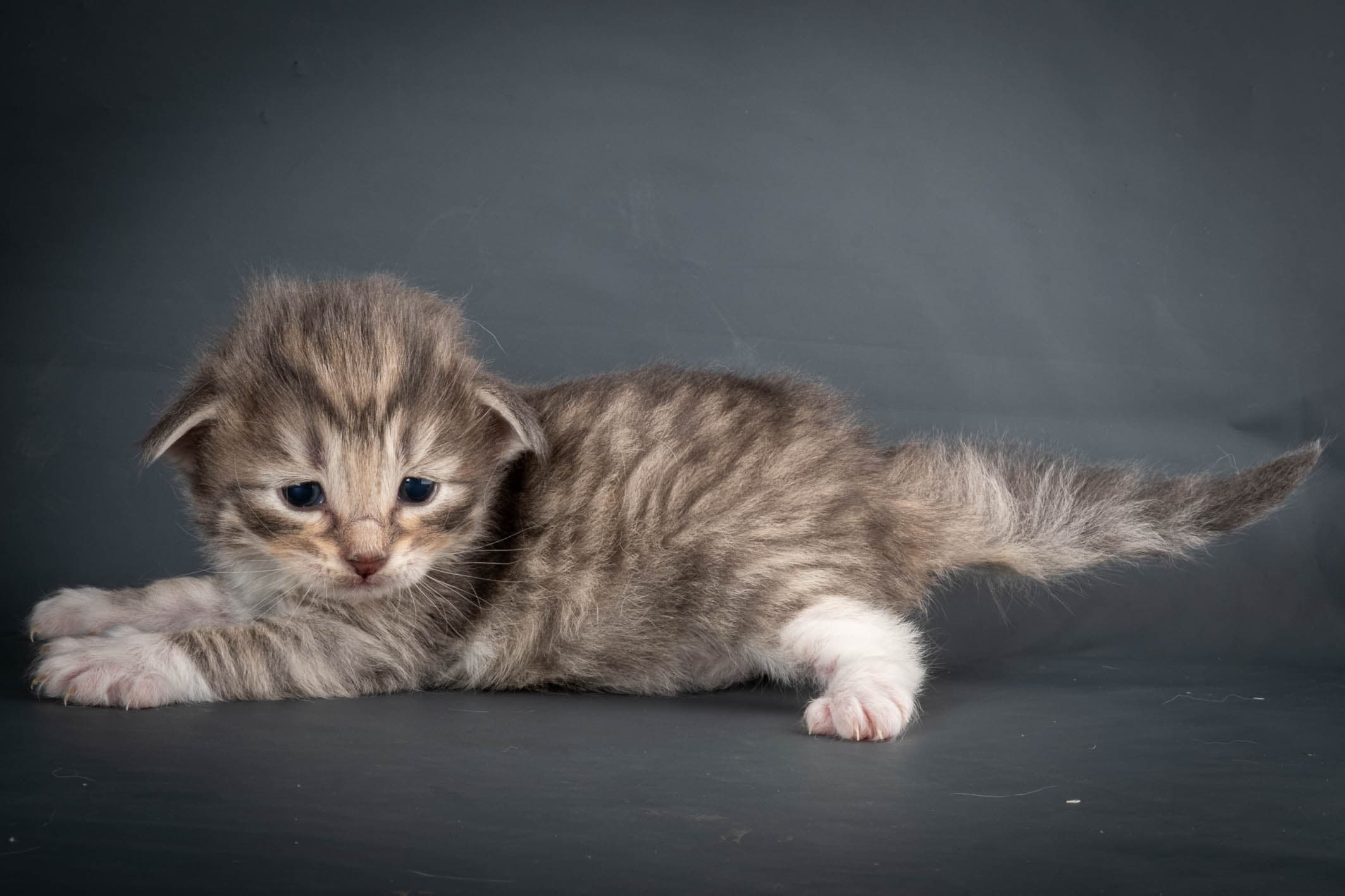 (N)Migoto's Sky, NFO a 09 24