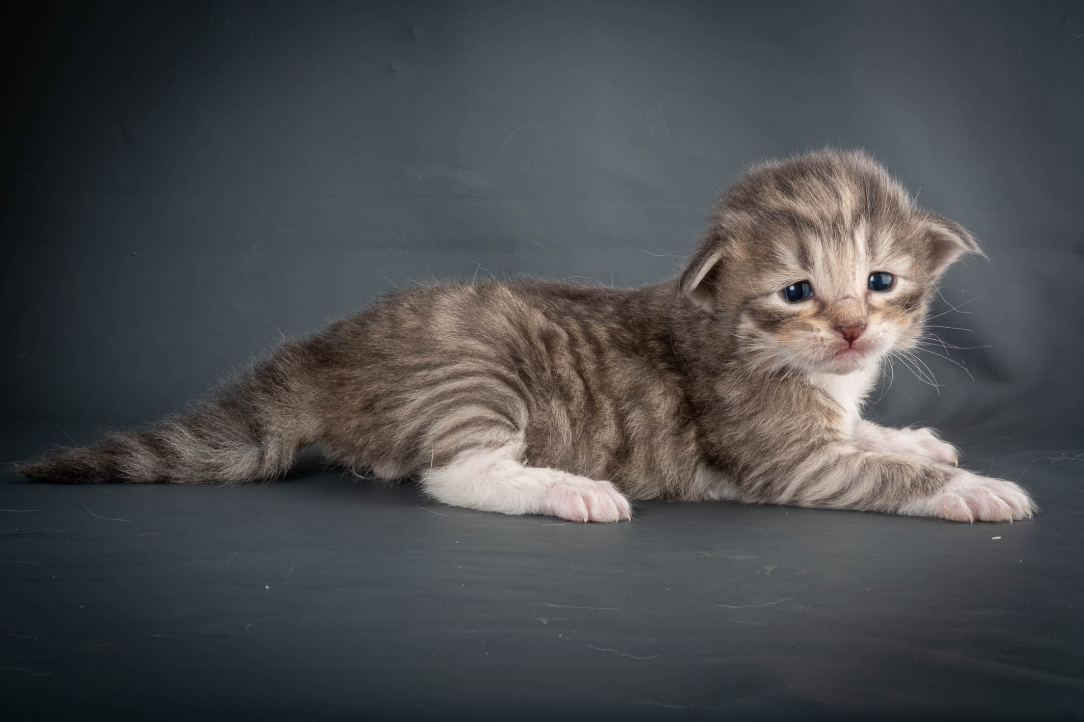 (N)Migoto's Sky, NFO a 09 24