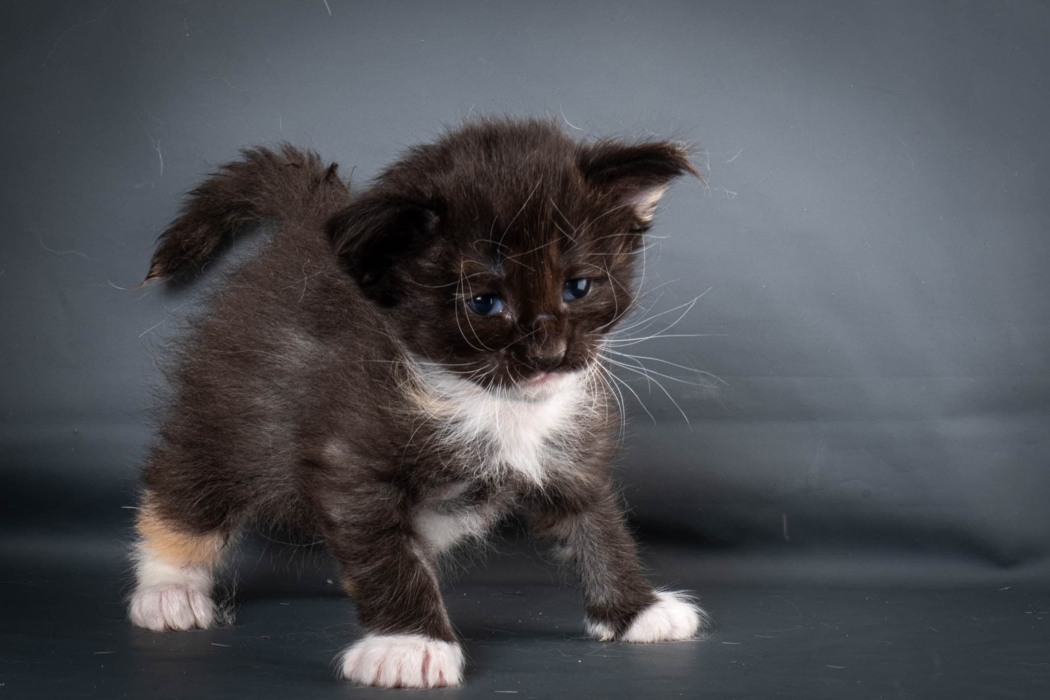 (N)Migoto's Snipp, NFO f 09