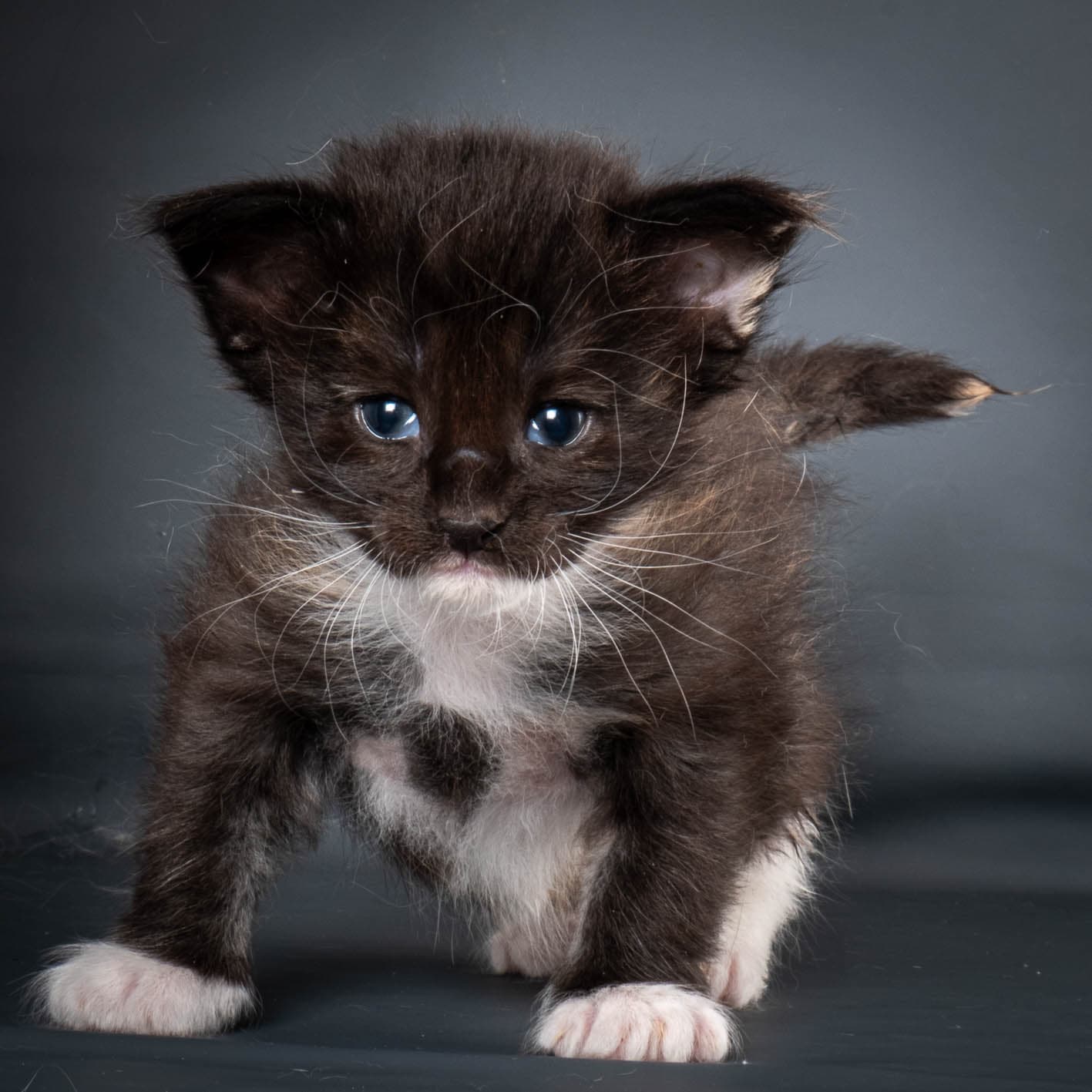 (N)Migoto's Snipp, NFO f 09