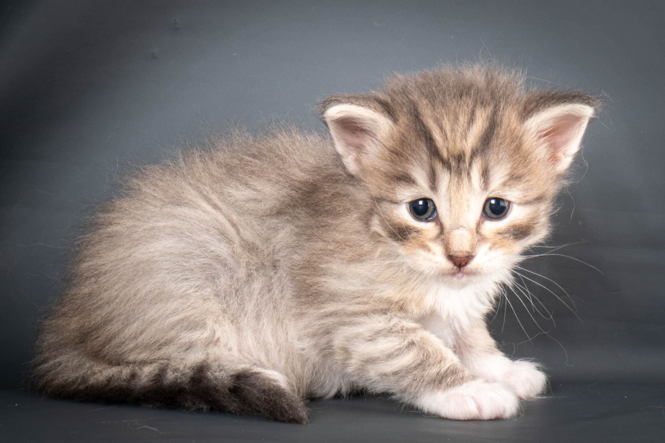 (N)Migoto's Sky, NFO a 09 24