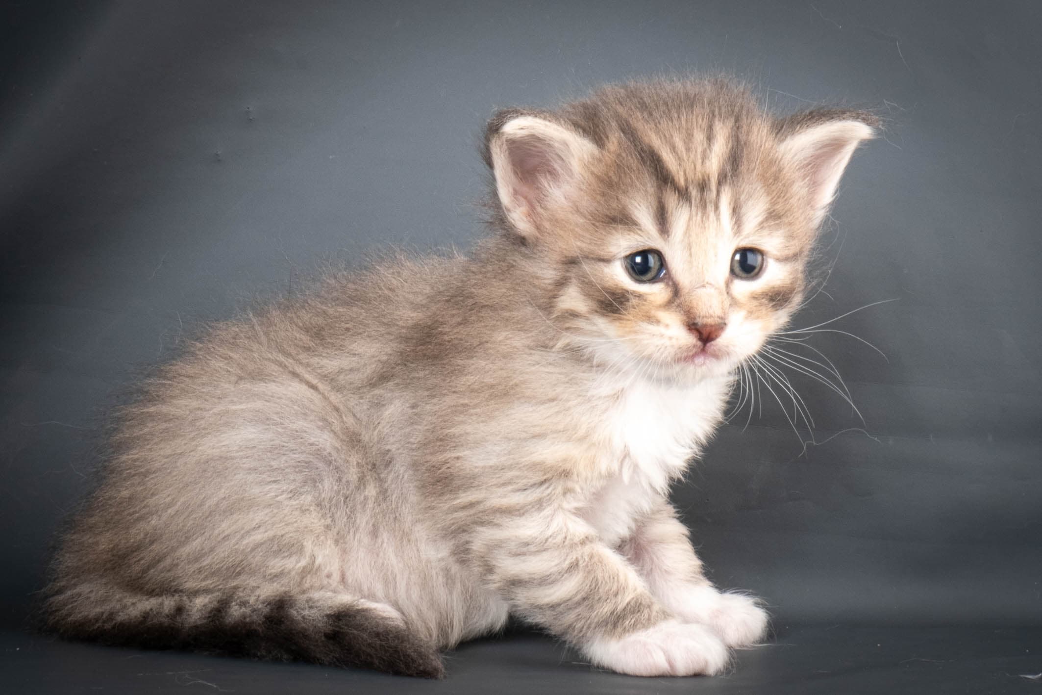 (N)Migoto's Sky, NFO a 09 24