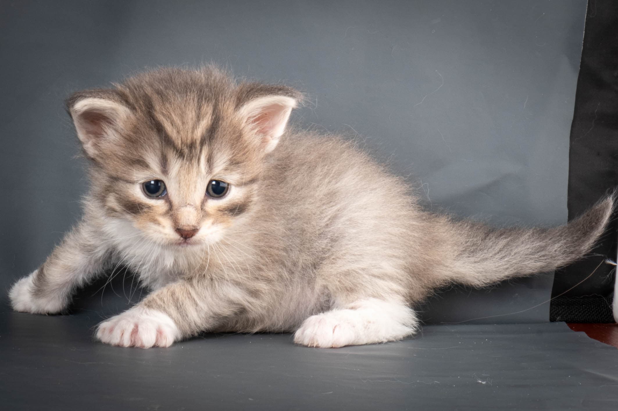 (N)Migoto's Sky, NFO a 09 24