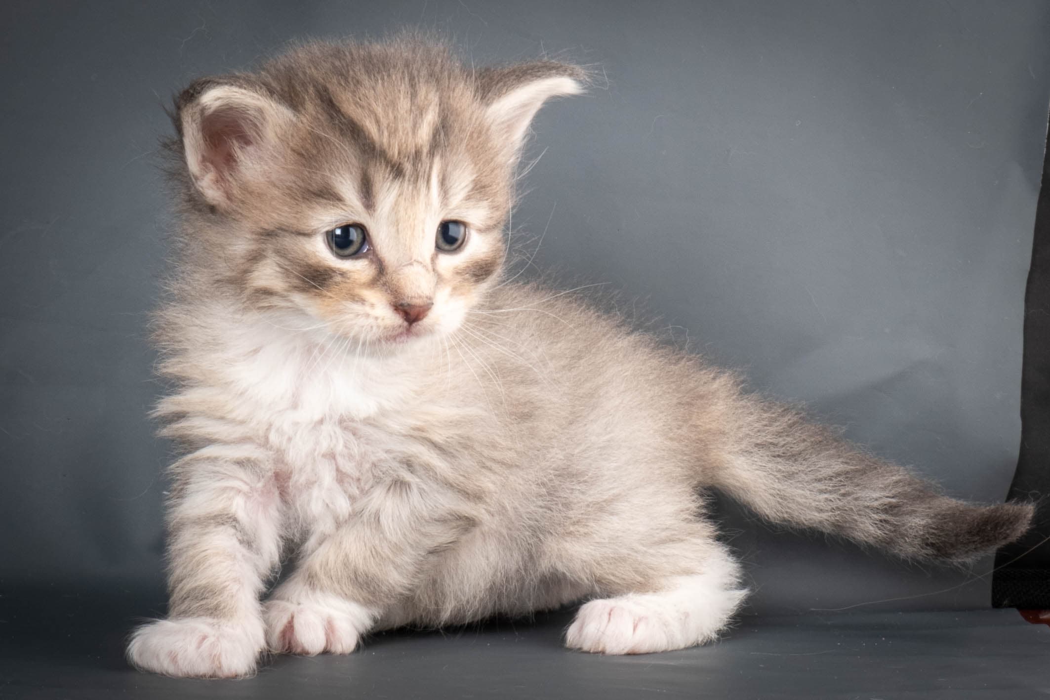 (N)Migoto's Sky, NFO a 09 24