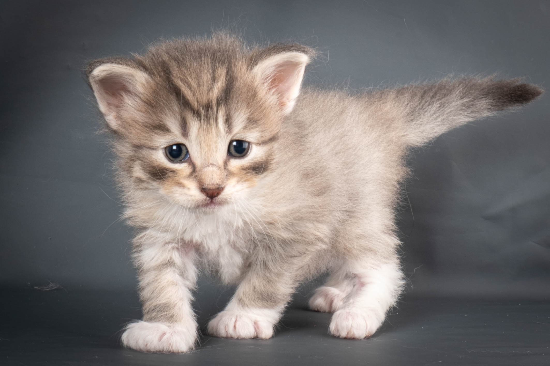 (N)Migoto's Sky, NFO a 09 24