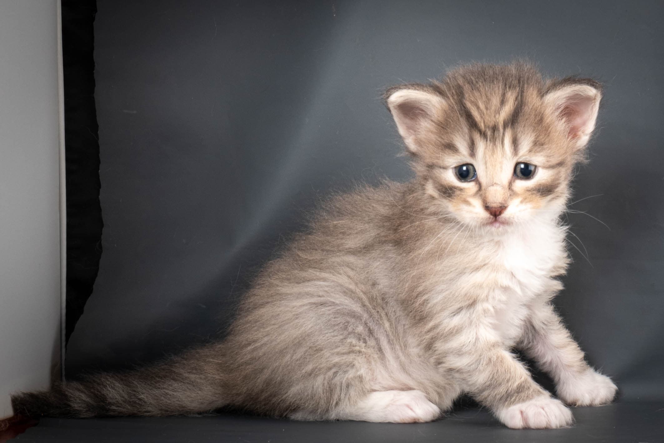 (N)Migoto's Sky, NFO a 09 24