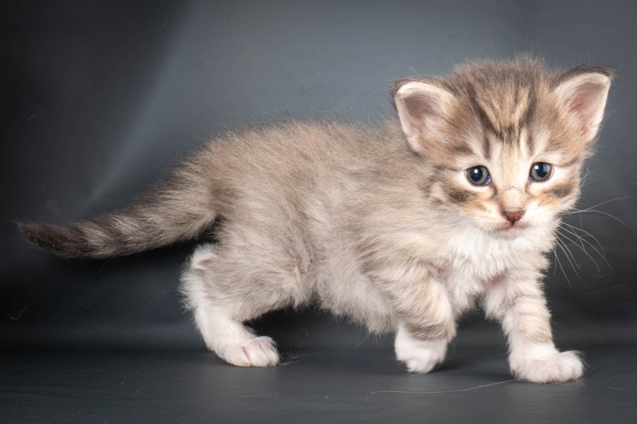 (N)Migoto's Sky, NFO a 09 24