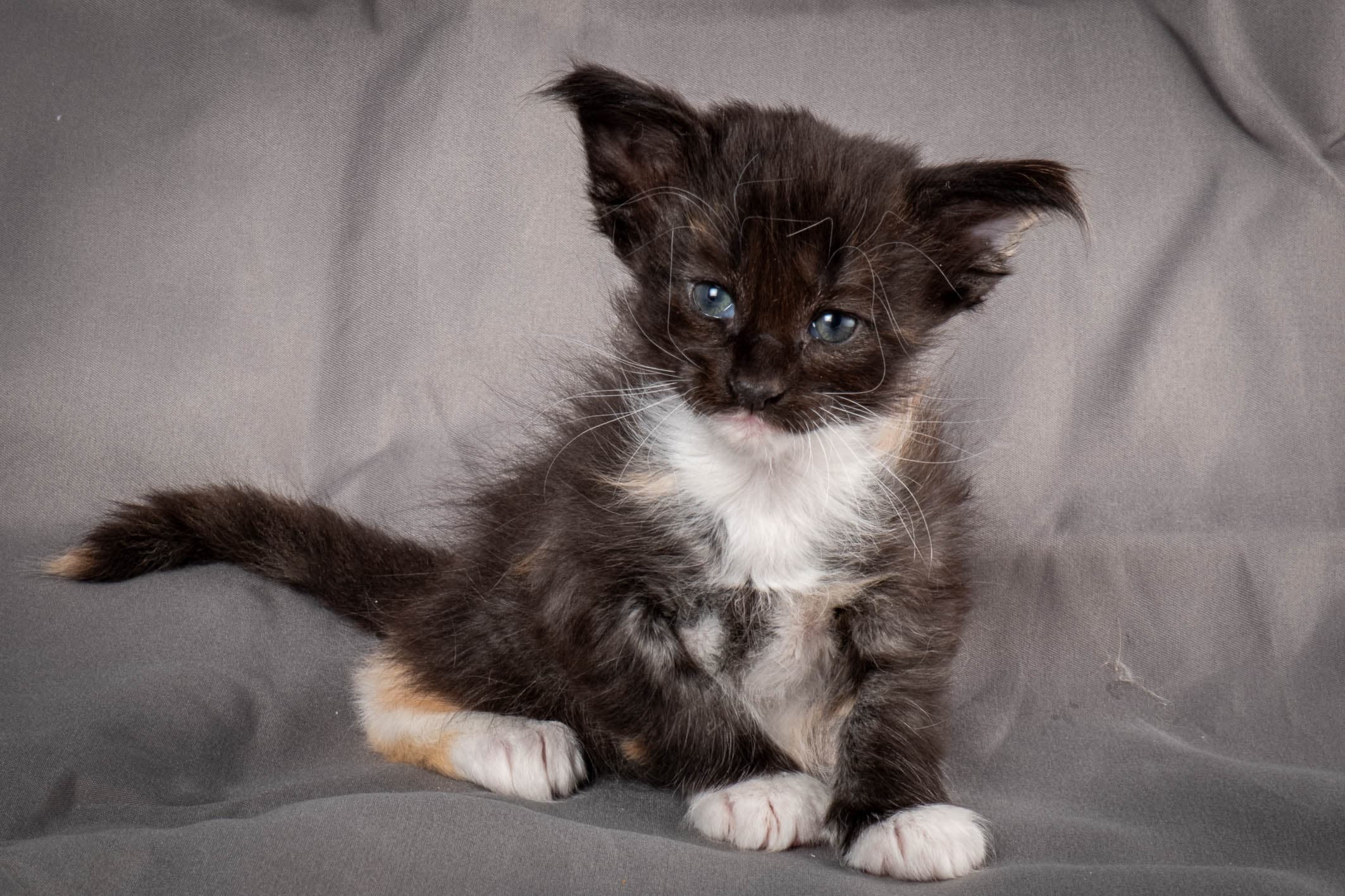 (N)Migoto's Snipp, NFO f 09