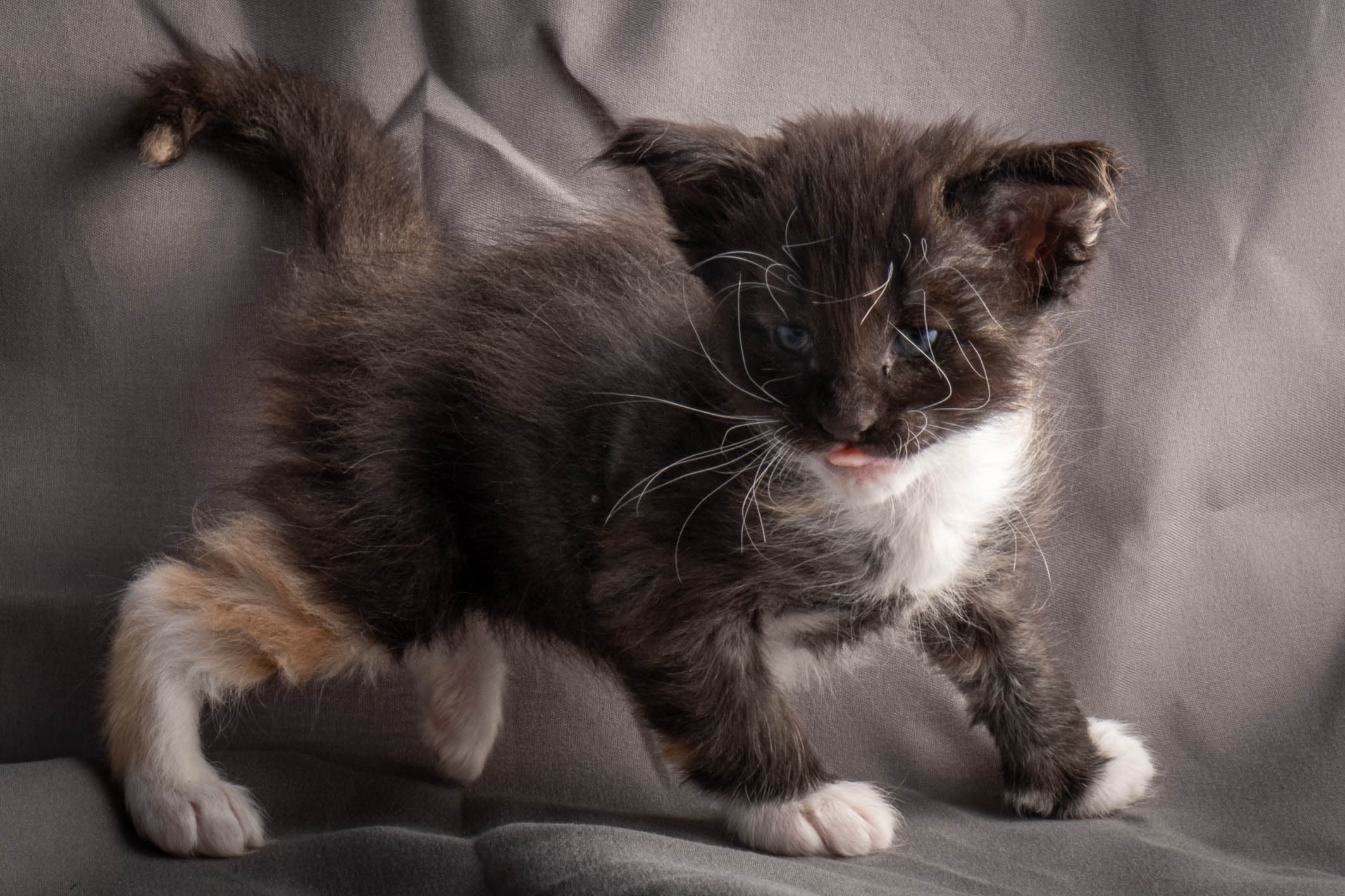 (N)Migoto's Snipp, NFO f 09