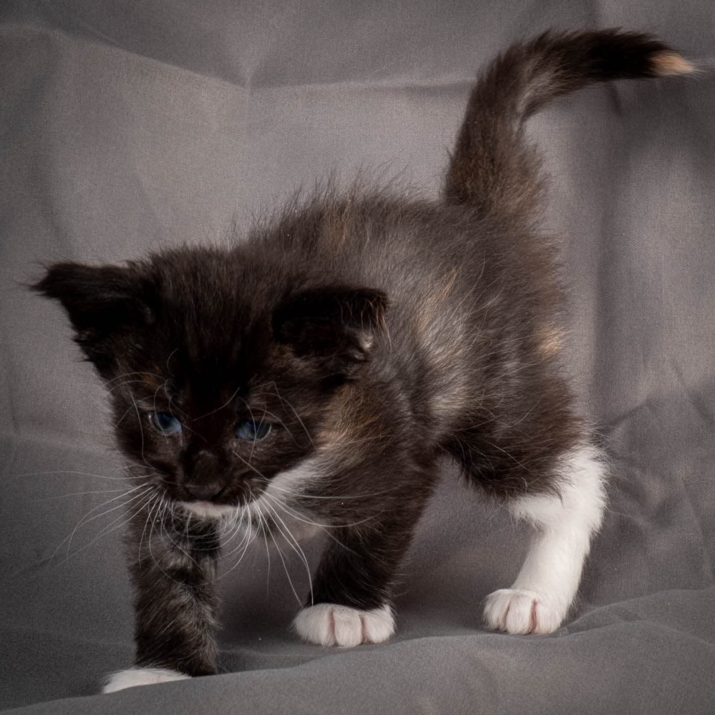 (N)Migoto's Snipp, NFO f 09