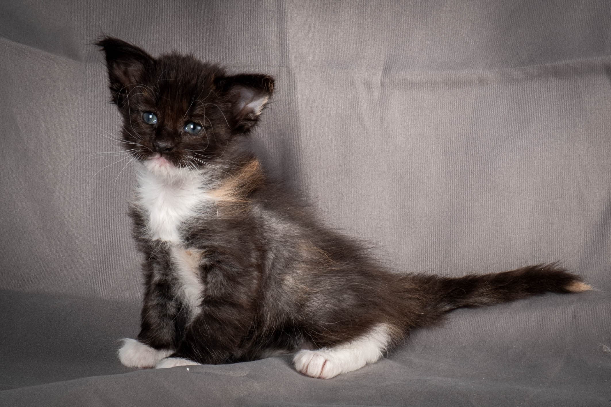 (N)Migoto's Snipp, NFO f 09