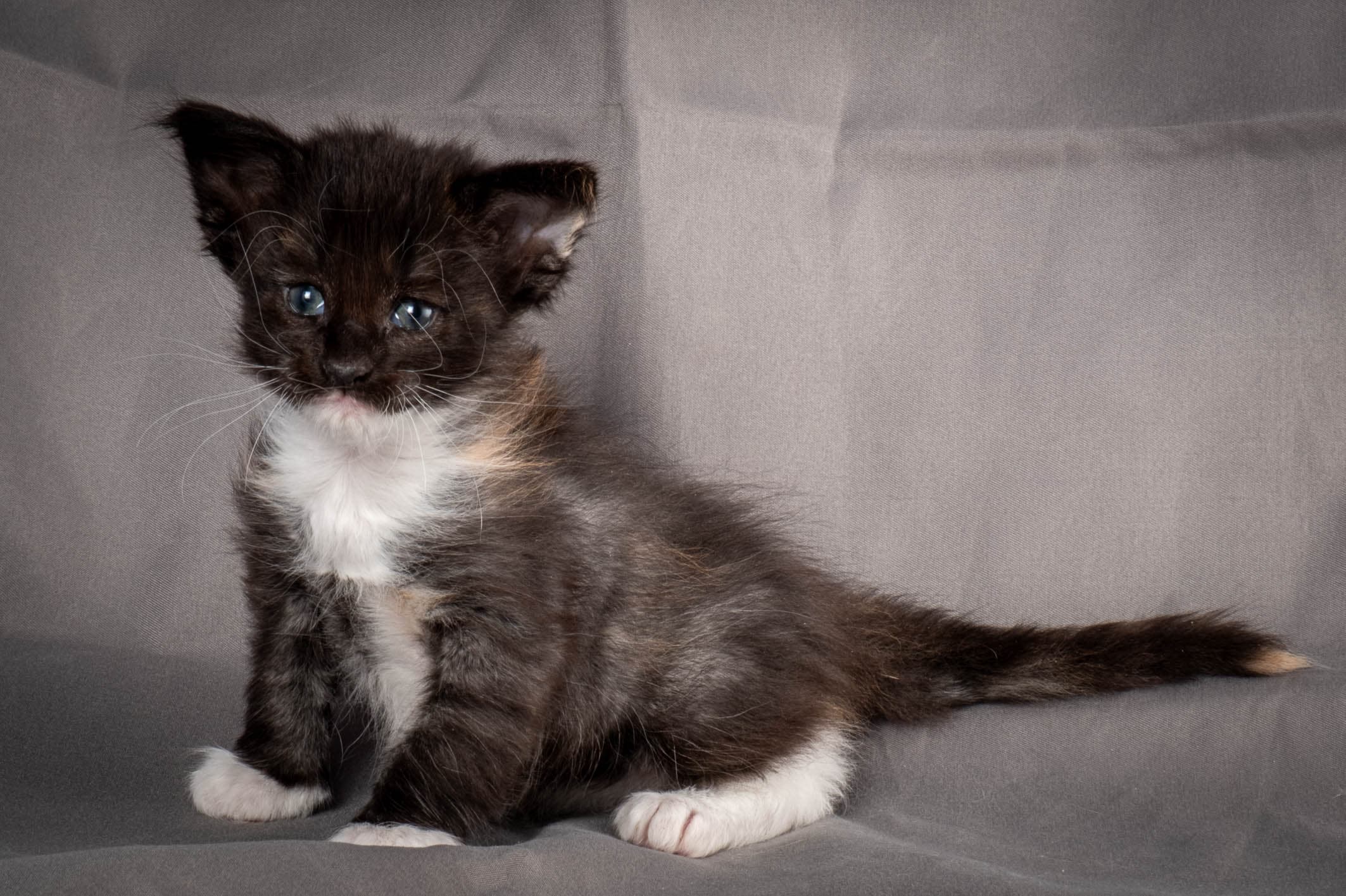 (N)Migoto's Snipp, NFO f 09