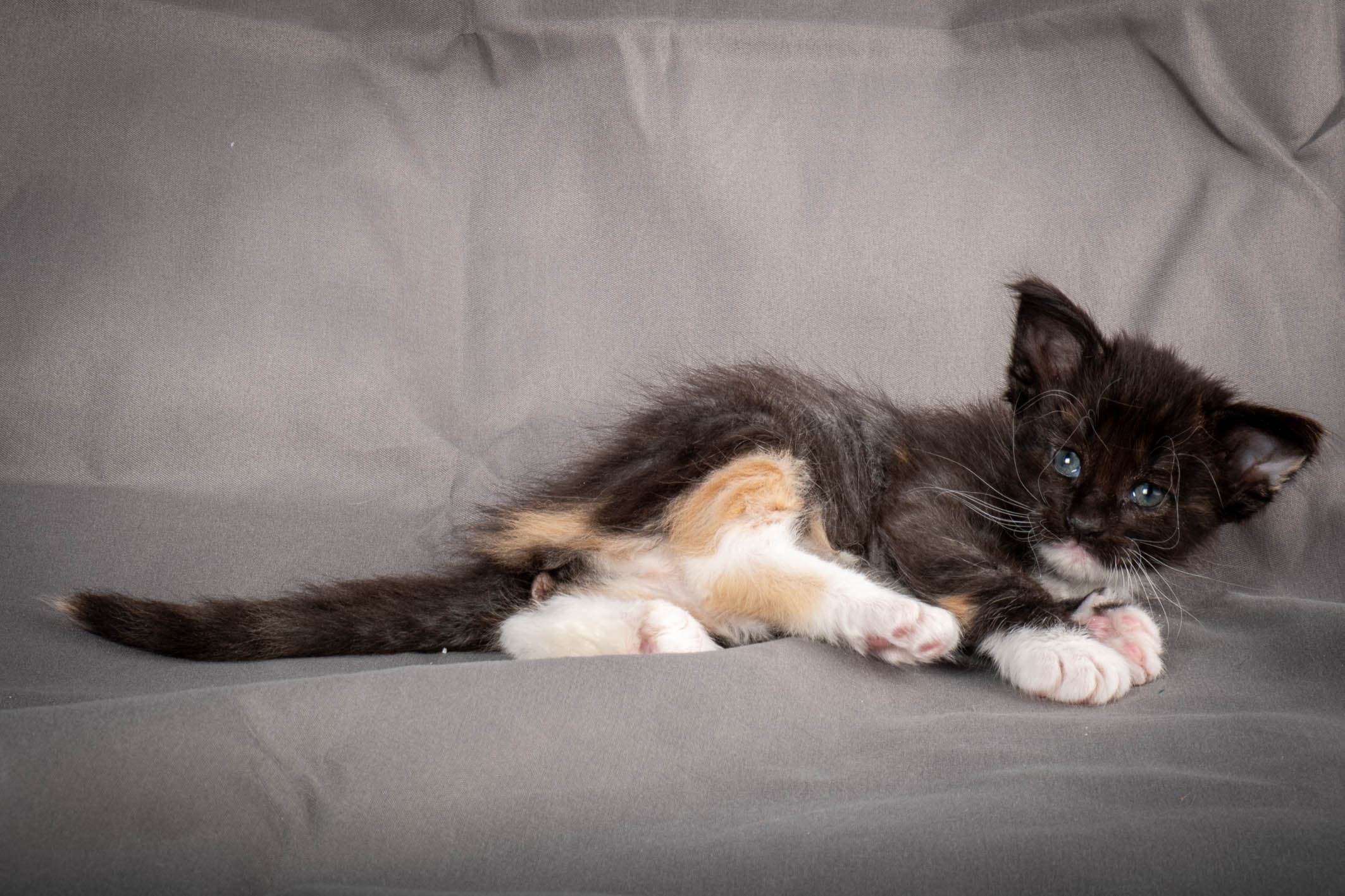 (N)Migoto's Snipp, NFO f 09