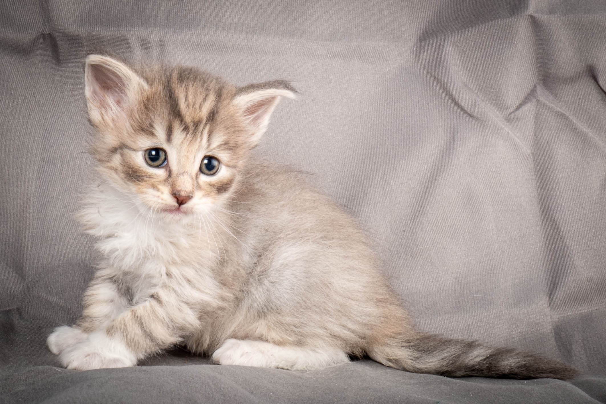 (N)Migoto's Sky, NFO a 09 24