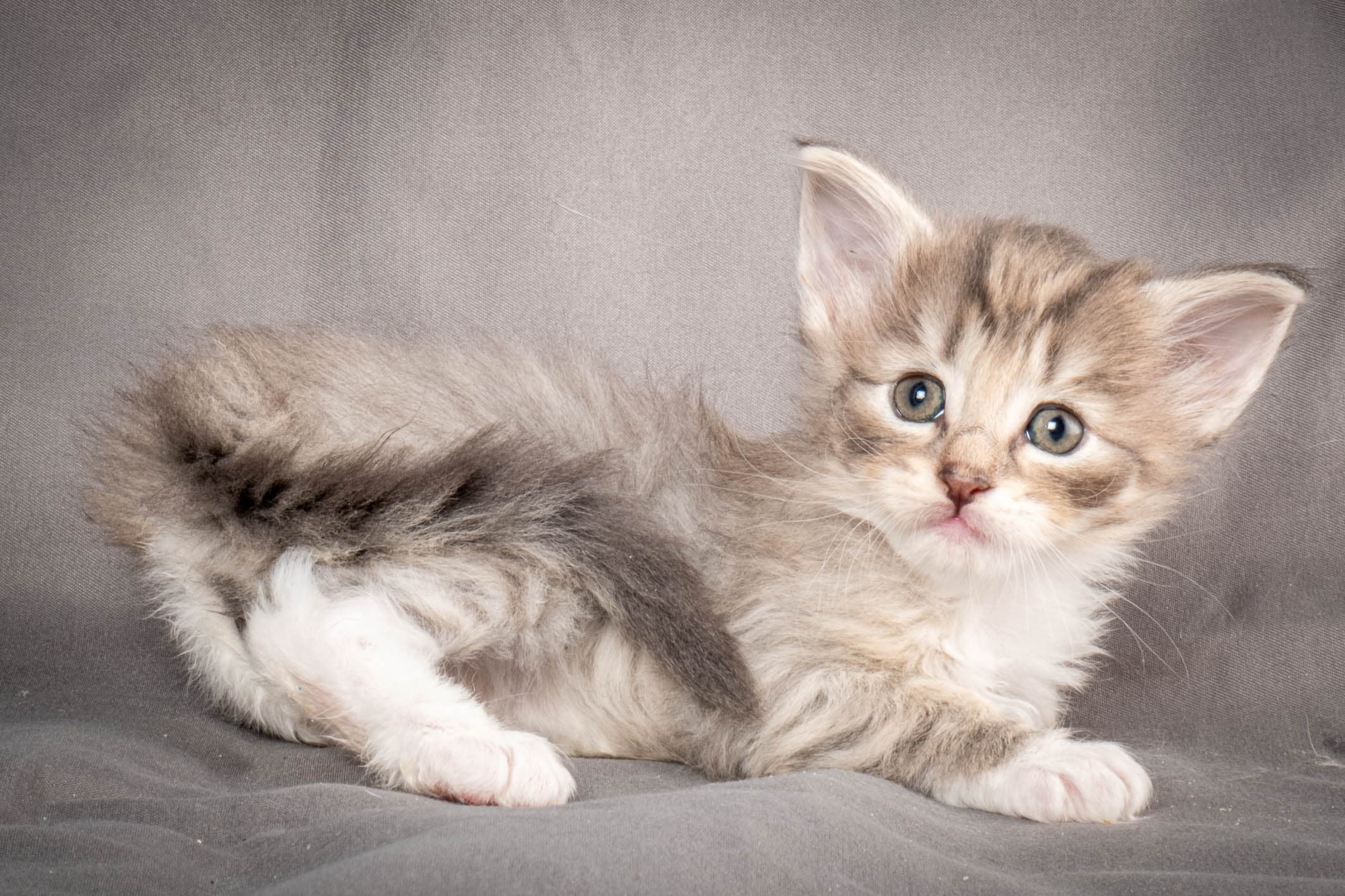 (N)Migoto's Sky, NFO a 09 24