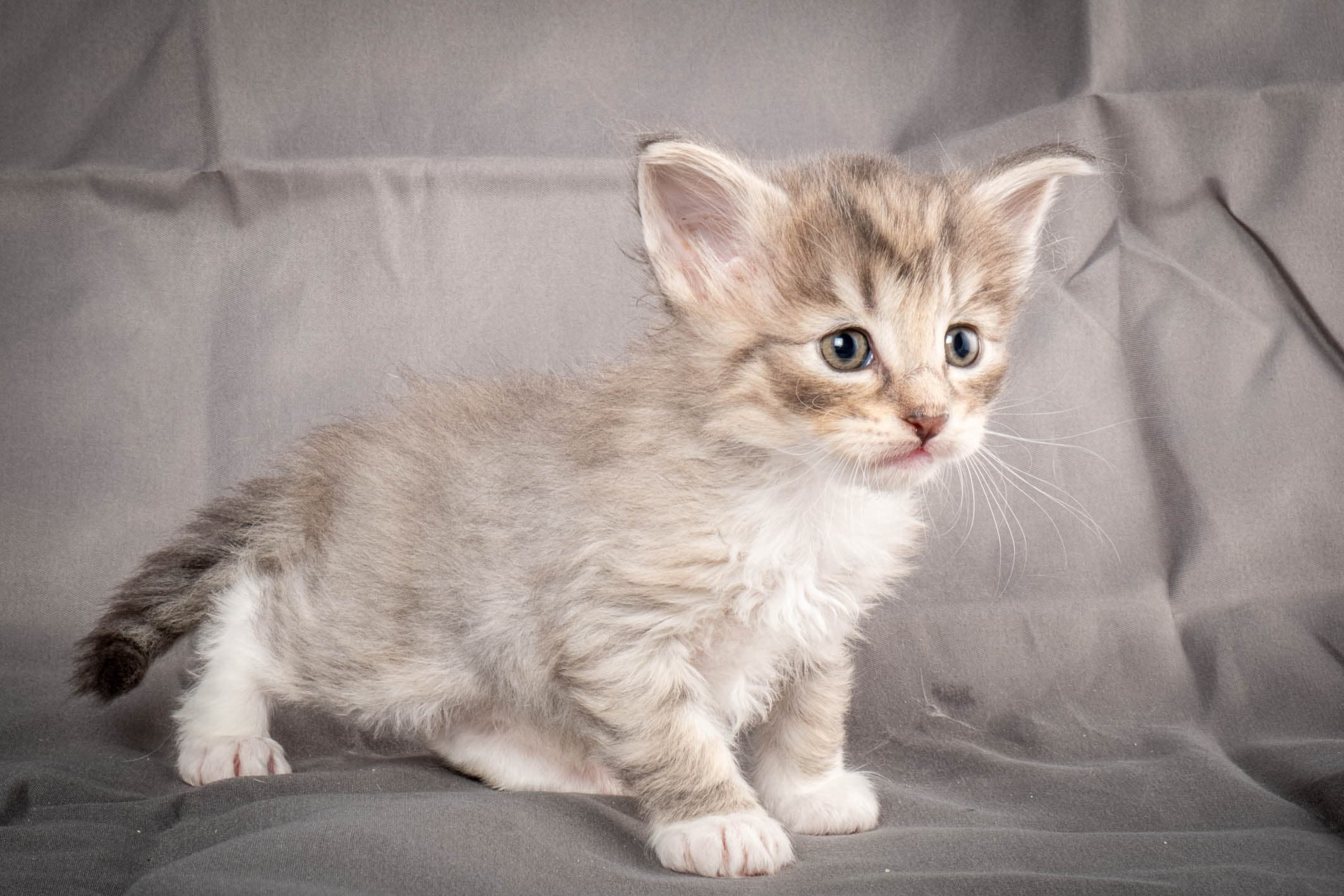 (N)Migoto's Sky, NFO a 09 24