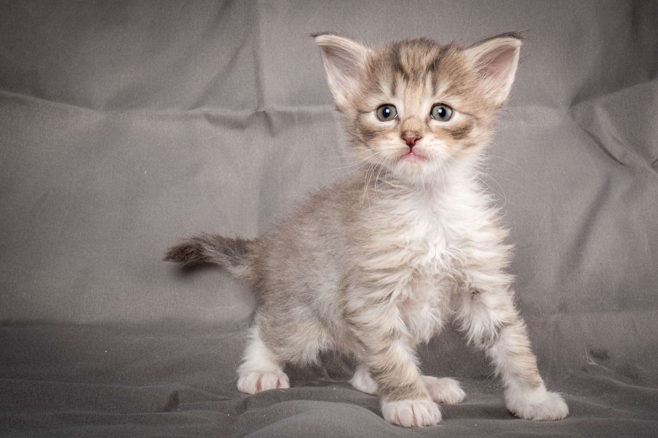 (N)Migoto's Sky, NFO a 09 24