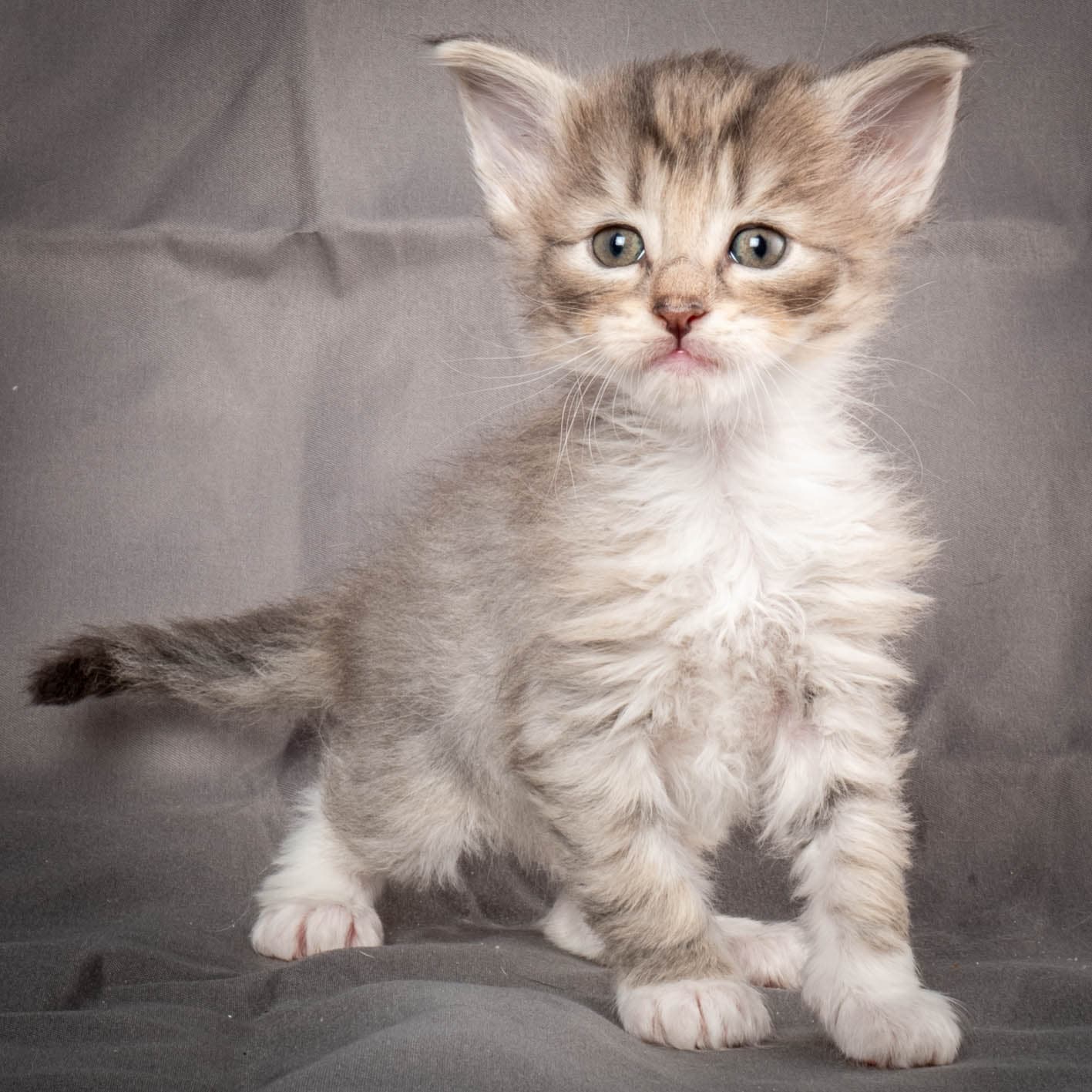 (N)Migoto's Sky, NFO a 09 24