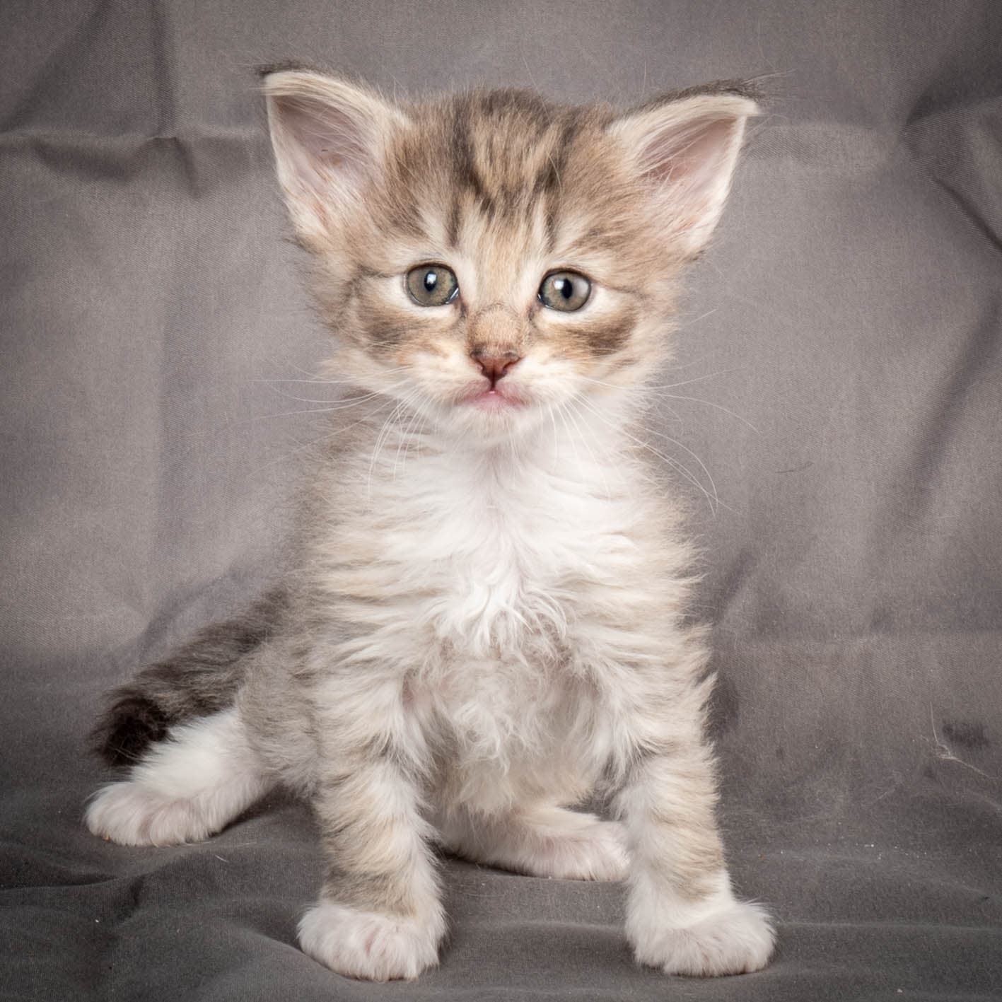 (N)Migoto's Sky, NFO a 09 24