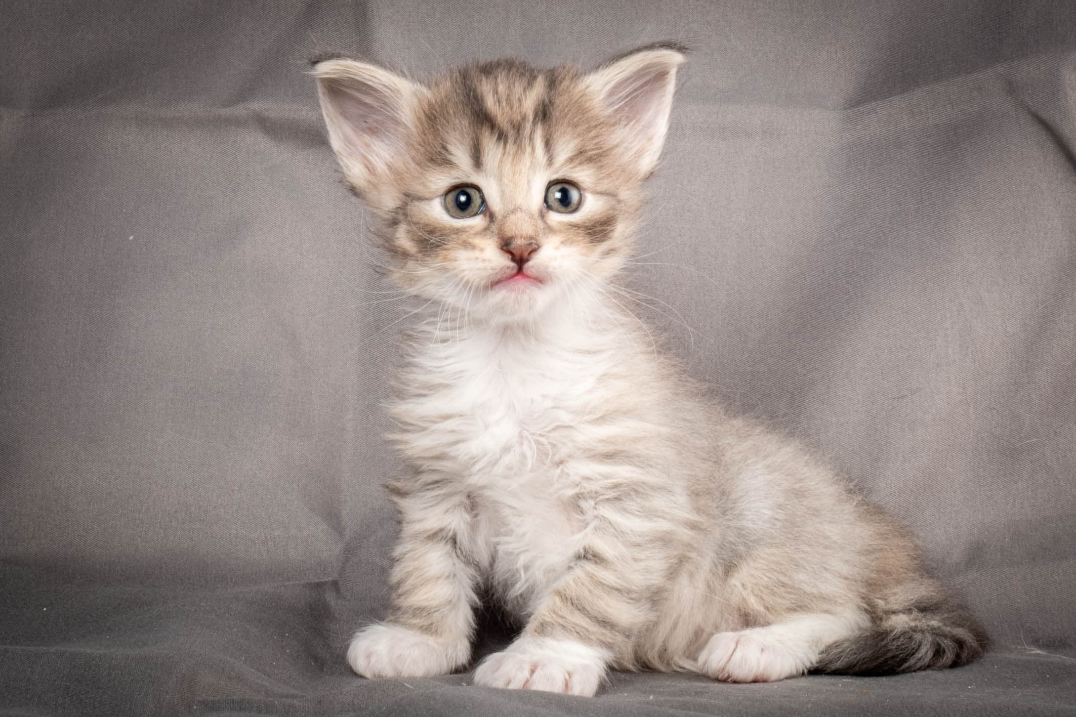 (N)Migoto's Sky, NFO a 09 24