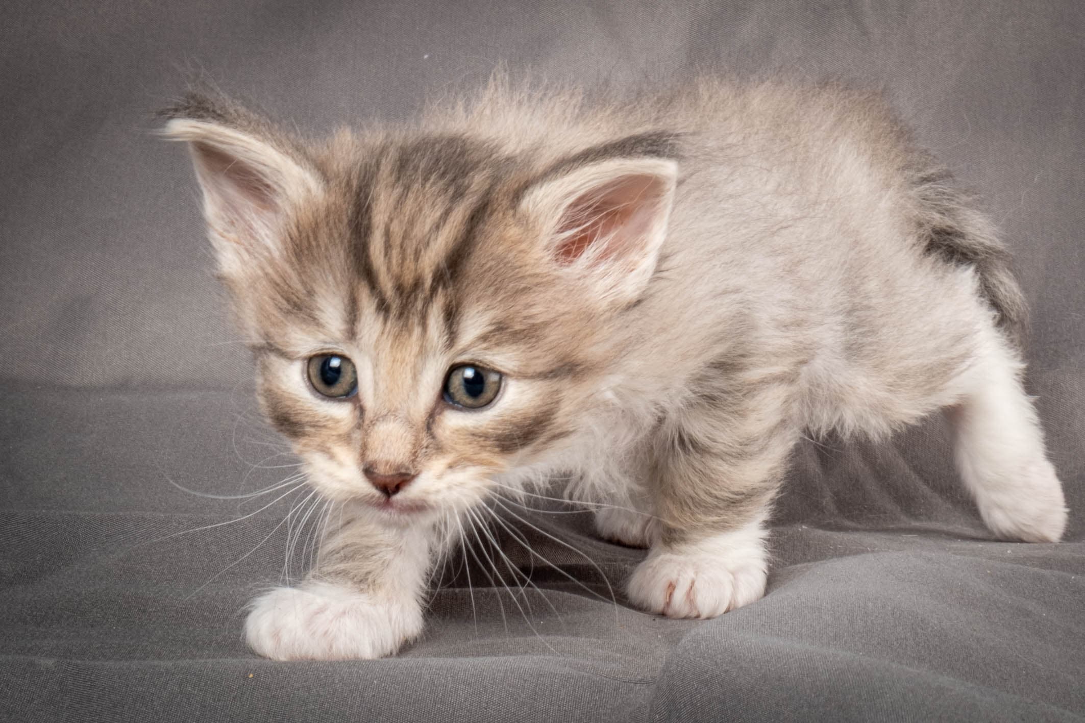 (N)Migoto's Sky, NFO a 09 24