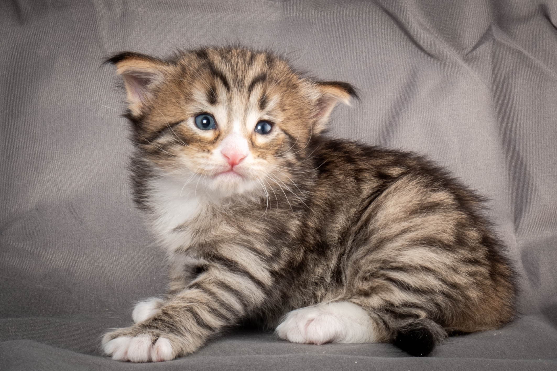 (N)Migoto's Thomas, NFO n 09 24