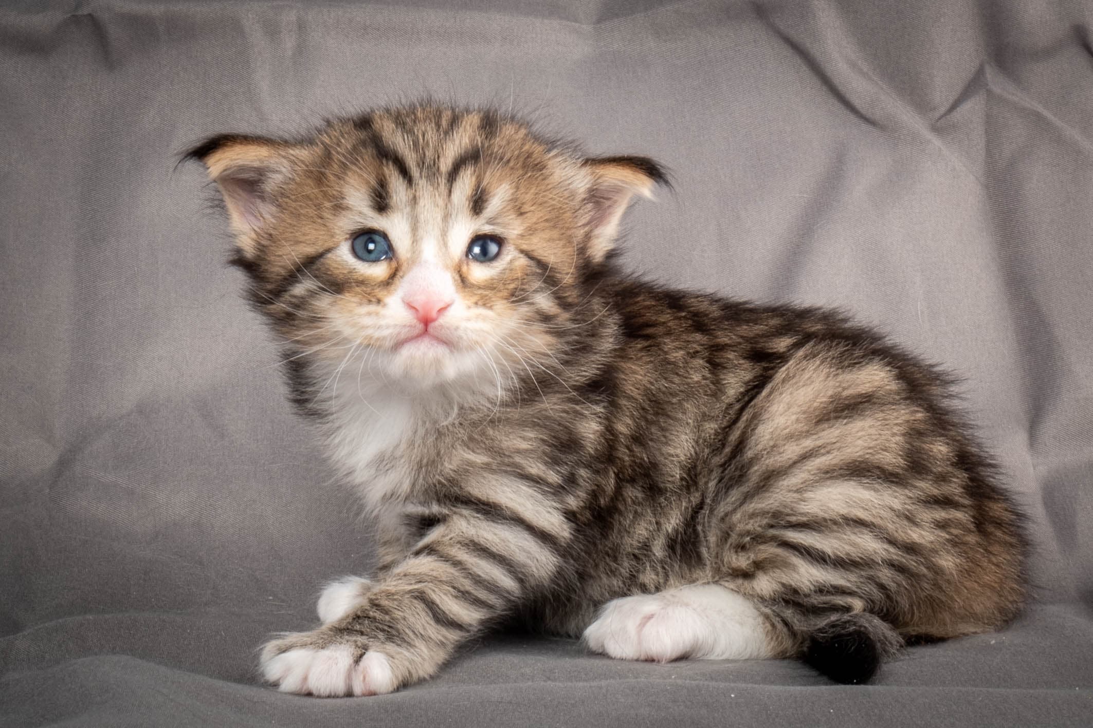 (N)Migoto's Thomas, NFO n 09 24