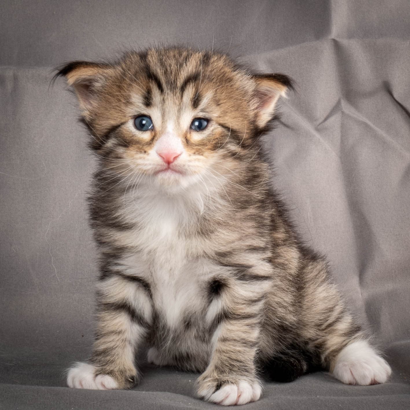 (N)Migoto's Thomas, NFO n 09 24