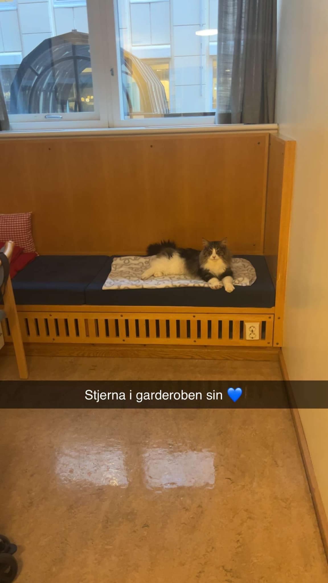 (N)Migoto´s Ken stars in Det Norske Teaterts Macbeth this Winter / Spring image