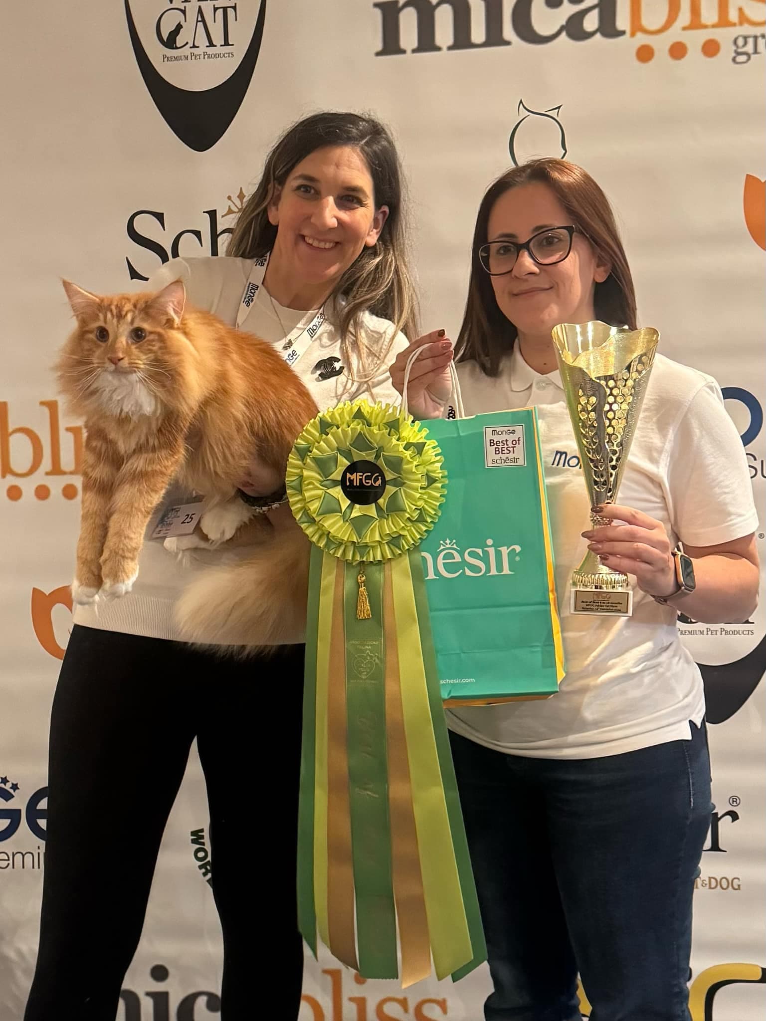 (N)Migoto´s Nicco Best of Best 1 at Malta December 14th 2024 image