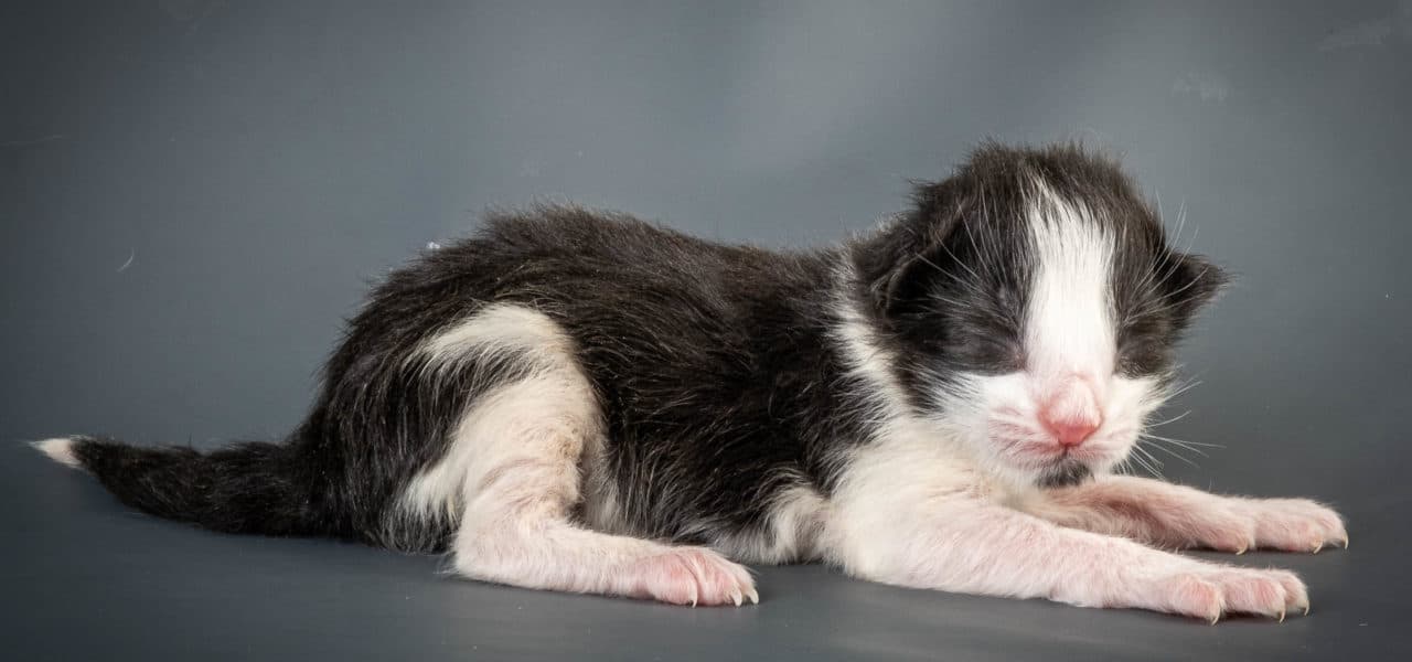 Sunset in the mountains